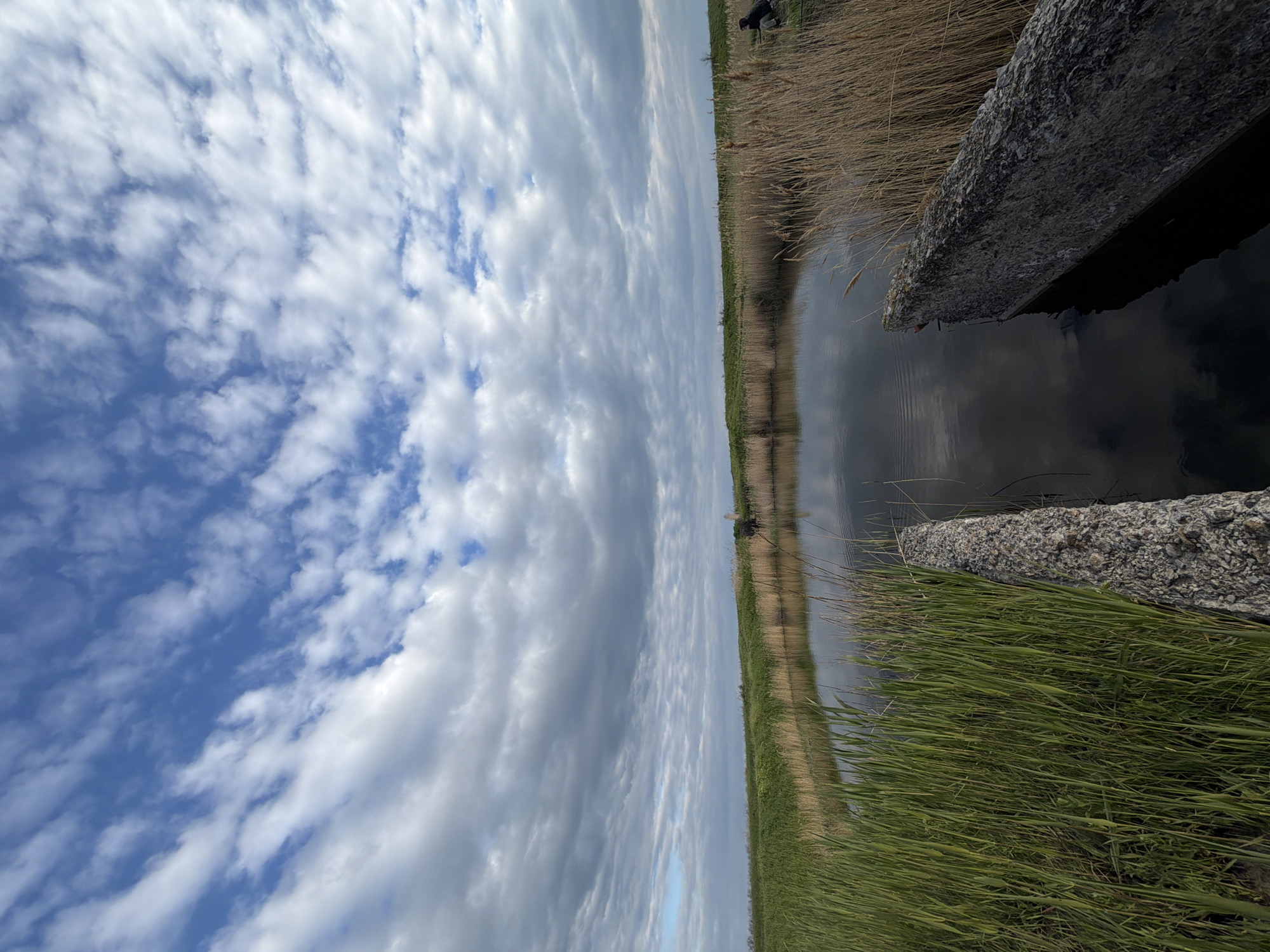The image depicts a body of water, possibly a river or lake, situated in Novomargaritovo, Russia. The sky, filled with a mix of blue patches and numerous white and grey clouds, occupies a significant portion of the image. The water reflects the sky and surrounding landscape, creating a mirroring effect. The shoreline consists of tall grasses and reeds, and a concrete barrier is partially visible at the edge of the water.