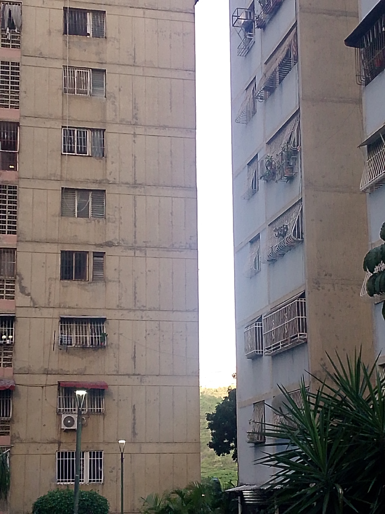 The image shows two apartment buildings in the city of Caracas, Venezuela. The building on the left is a pale beige color and has a series of windows with metal bars and some balconies. The building on the right is a pale blue color and also features numerous windows with metal bars and small, retractable awnings. Some plants, including a spiky green plant in the foreground, are visible. The sky is bright and appears to be daytime. The overall impression is of a residential area in a city.
