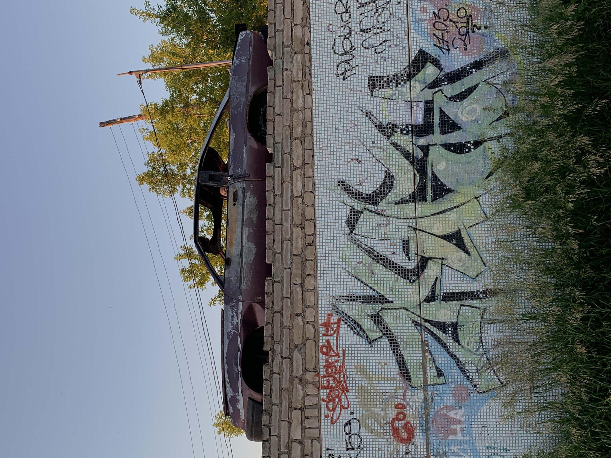The image shows an abandoned, rust-colored car with its roof and doors removed, resting atop a brick wall. The car is heavily weathered and appears to be a coupe or sedan, possibly from the 1980s or 1990s. Below the brick wall is a mosaic tiled surface covered in graffiti. The graffiti features a large, stylized green and black tag, as well as smaller red and black tags and dates. Some areas of the mosaic are obscured by the graffiti. The background consists of a clear blue sky with scattered power lines and trees with green foliage. In the foreground, tall green grass and reeds partially obscure the mosaic wall. The scene appears to be in an outdoor urban setting, likely in Chaikovsky, Russia, given the context.