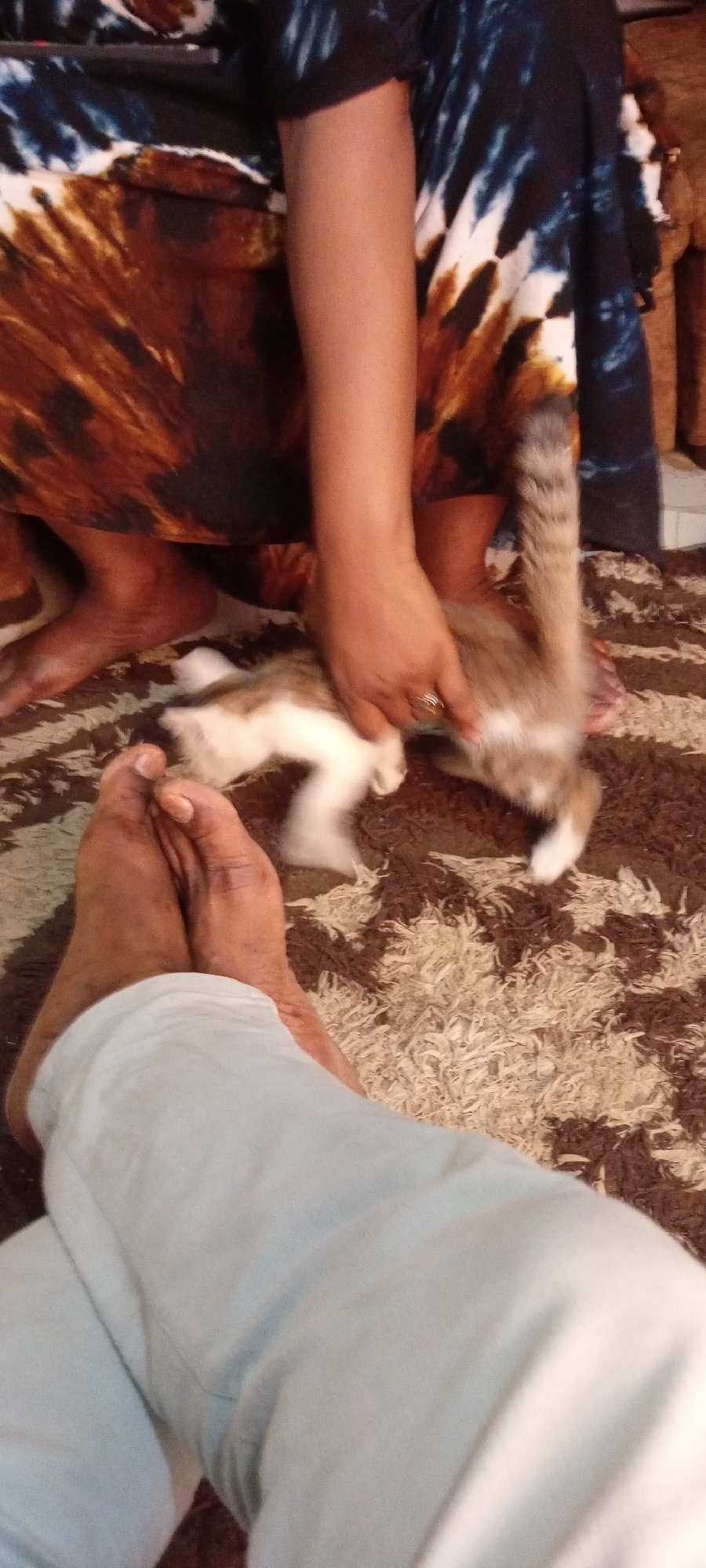 The scene depicts a person interacting with a kitten indoors, possibly in a domestic setting. The location is not explicitly identifiable as being in the city of Gama, Nigeria.
A fair-skinned arm and hand, adorned with a ring, are holding the kitten. The kitten, a mix of white, brown, and gray fur, is moving. The person's arm is partially obscured by a dress or garment with a mottled brown and blue pattern. Another person's bare feet and legs covered in light blue pants are visible in the foreground. They appear to be seated or lying down.
The scene takes place on a brown and tan patterned carpet. The immediate background is blurry. A portion of a brown wooden structure or furniture is visible further in the background.