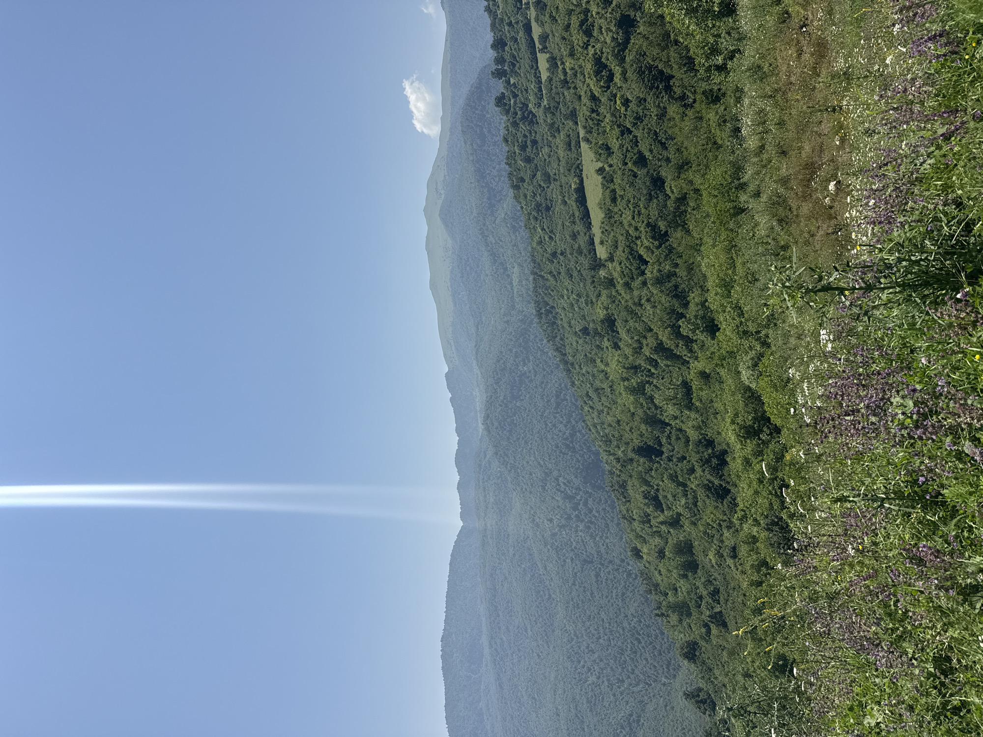 A wide-angle, eye-level, outdoor photograph captures a verdant mountain landscape under a clear blue sky. The foreground is dominated by a field of wild flowers, featuring purple and white blossoms interspersed with tall green grasses and stalks. Beyond this meadow, the middle ground presents rolling hills covered in dense, lush green forests, with patches of lighter green indicating clearings or less dense tree cover. In the background, layered mountain ranges recede into the distance, fading in color to a soft blue due to atmospheric perspective. The sky is a pale blue, with a distinct, bright shaft of light, possibly sunlight or a lens flare, appearing as two parallel white beams near the top center of the image. There are no people, animals, or man-made structures visible in the frame, creating a natural and serene scene. The location is identified as Yenokavan, Armenia.