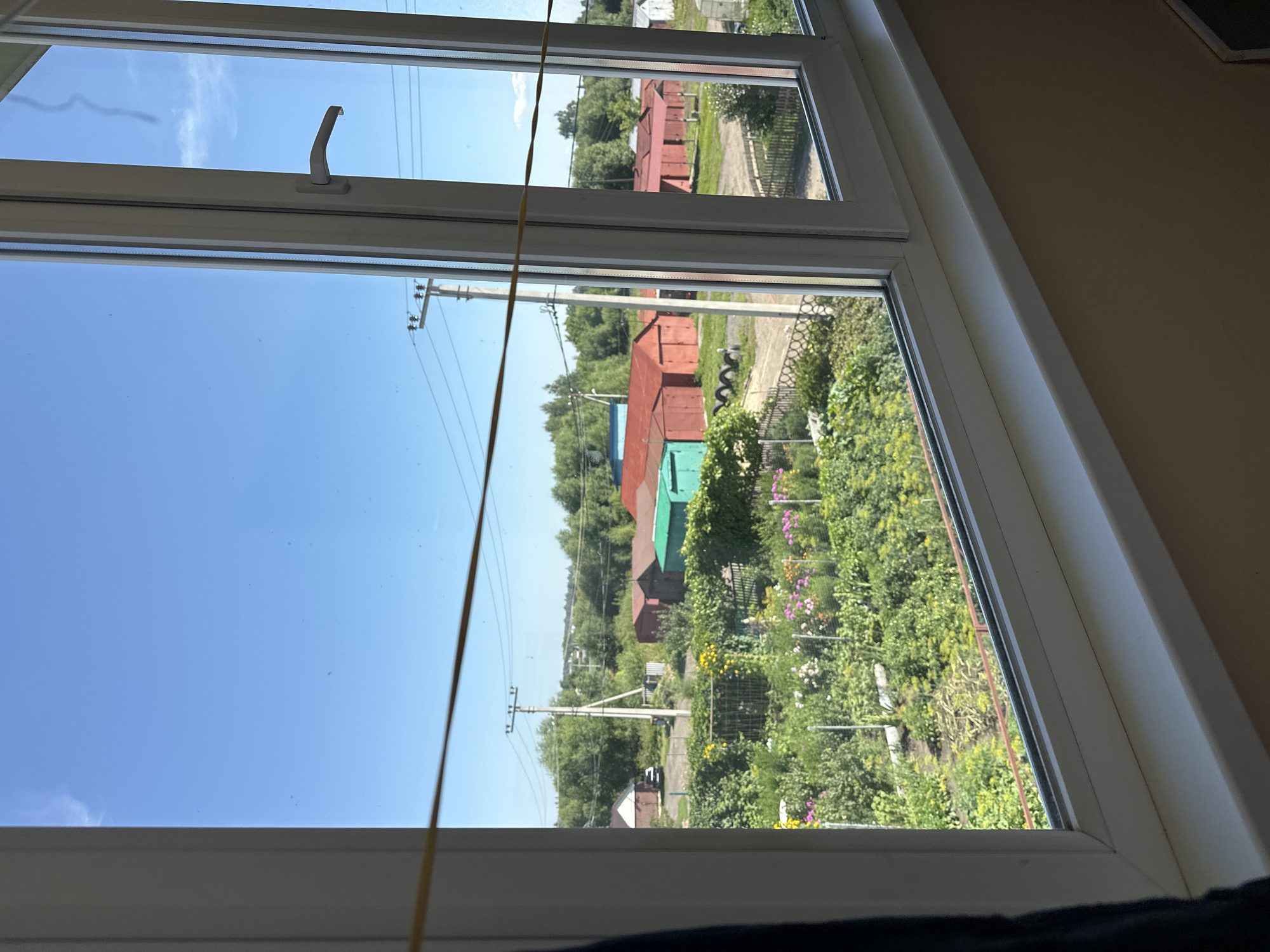 This is a photograph taken from a window, looking out onto a rural or suburban area with a garden and several buildings. The view is framed by white window frames and a thin yellow wire stretches across the middle of the frame.
In the foreground, a lush garden is visible, with rows of green plants and various colorful flowers, including pink, yellow, and white blooms. A low metal fence runs along the front of the garden.
Beyond the garden, a dirt path leads to a collection of buildings. The most prominent are several long, red-roofed structures that appear to be garages or sheds. To the left of these, a green building is visible, and further left, a white building with a red roof. A dark-colored car is parked in front of the white building.
In the middle ground, a utility pole with power lines stands tall, and further in the background, a line of trees forms a green horizon. The sky is a clear, bright blue with a few wispy clouds.
The overall impression is one of a sunny day in a peaceful, undeveloped area, possibly a dacha or village settlement. Given the context, this scene could be located in the city of Rasskazovo, Russia, where such rural or semi-rural landscapes are common.
