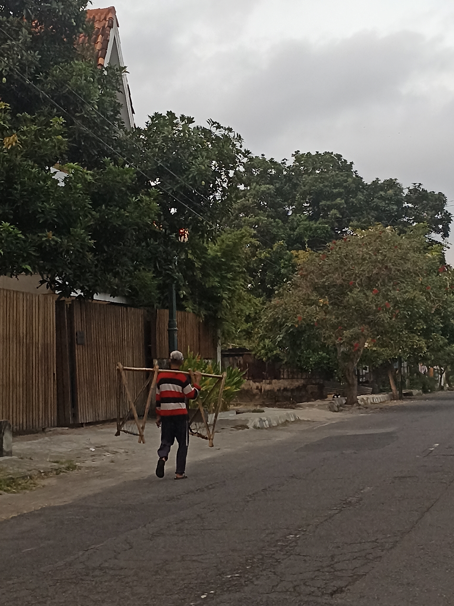 In Mojopanggung, Indonesia, an elderly individual wearing a horizontally striped long-sleeved shirt and dark pants walks along a paved road. They are carrying a structure made of light-colored bamboo poles over their right shoulder, which is supported by a similar bamboo frame in front of them. The person is walking away from the camera towards the right side of the image. To the left of the road, a tall fence constructed of vertical wooden planks runs parallel to the street. Behind the fence, trees and foliage are abundant, with a glimpse of a building with a red-tiled roof visible above the trees on the far left. A streetlamp with a visible light fixture stands on the sidewalk to the right of the person. Further down the road, more trees line the street, some bearing red fruit. The sky is overcast and cloudy, suggesting a diffused light source. The road surface shows signs of wear and tear, with visible cracks.