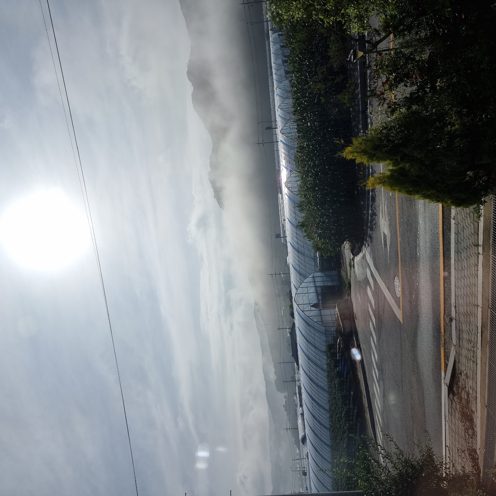 The image, taken in Dunnae-myeon, South Korea, captures a landscape dominated by numerous greenhouse structures stretching across the frame. The sun is prominently positioned in the upper portion of the sky, partially obscured by clouds and haze, casting a bright, diffused light. A line of mountains forms the backdrop, with low-lying mist or fog clinging to their slopes. In the foreground, a paved road with white lane markings and a yellow border runs horizontally across the lower part of the image. Several coniferous trees are visible on the right side of the road, with dense foliage. The greenhouses, constructed with white translucent material, are arranged in rows and appear to cover a significant agricultural area. The scene suggests an early morning or late afternoon setting, given the angle of the sun and the atmospheric conditions.