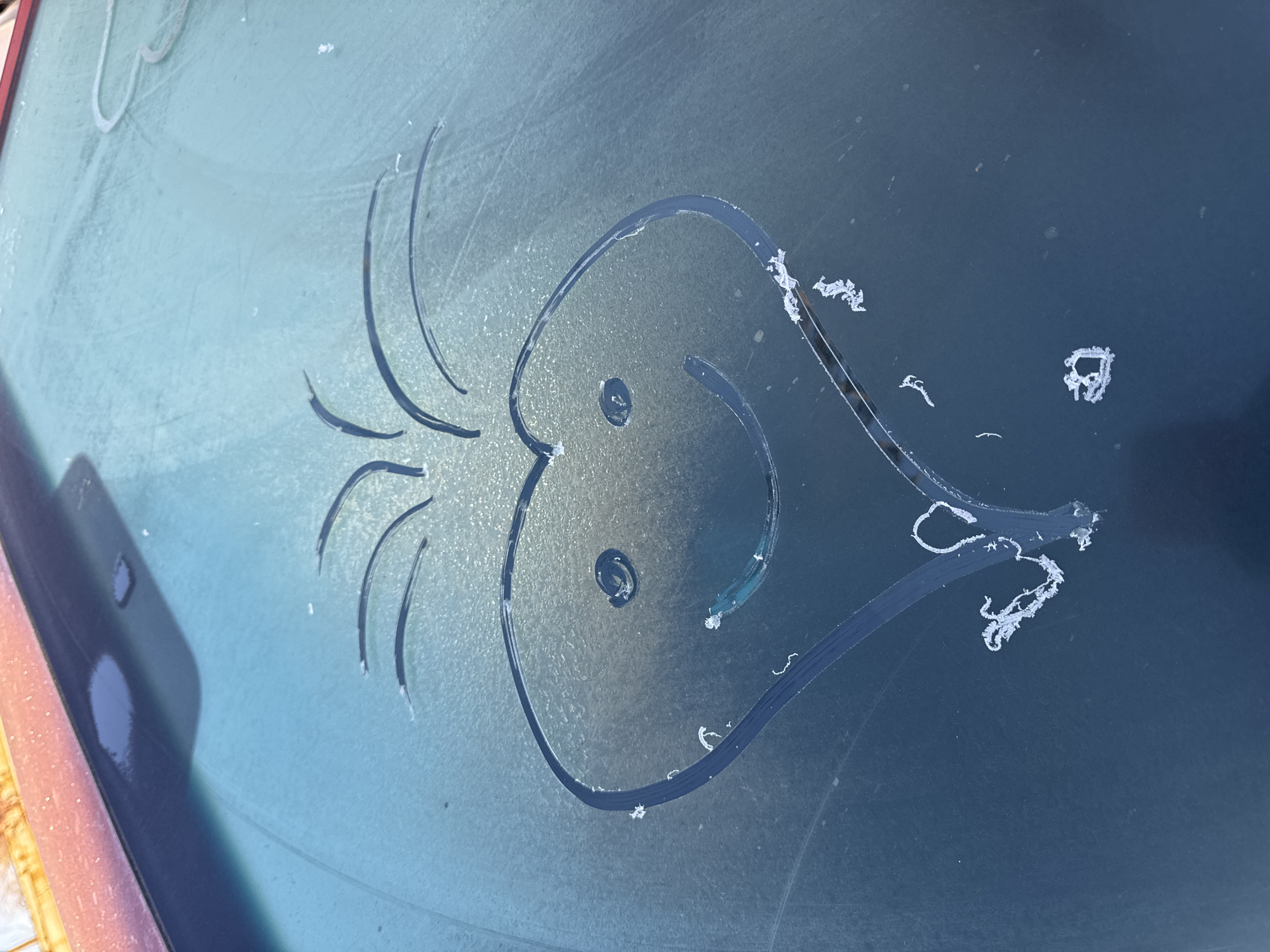 A drawing of a fish is etched in frost on a car windshield. The fish has prominent eyes and a spray of lines extending from its head, possibly representing fins or water. Patches of remaining frost accent the drawing, particularly towards the tail. The image is focused on the windshield itself, with a portion of the car visible on the left side.
There is no way to verify from the image if this is in Chaikovsky, Russia.