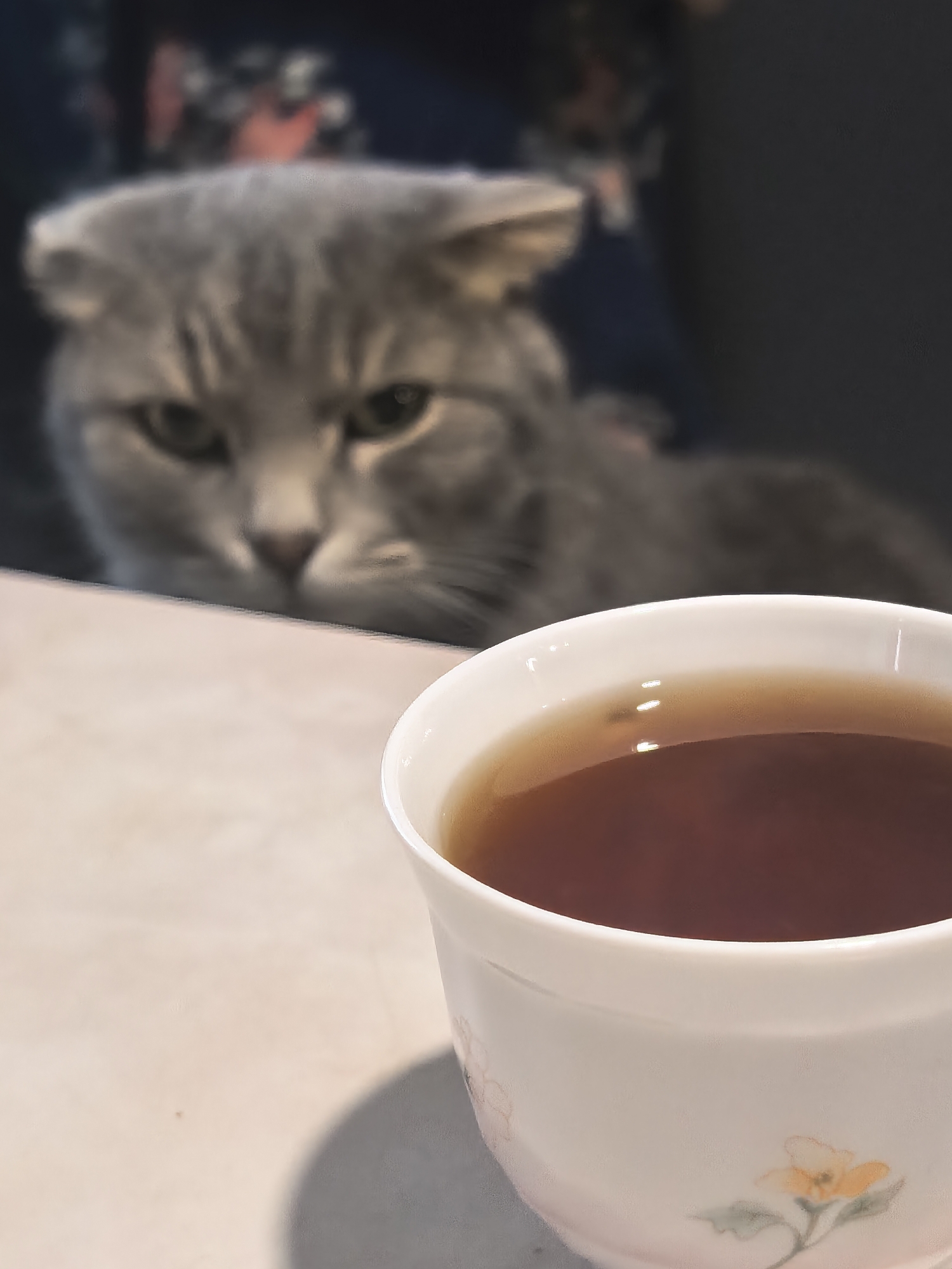 An out-of-focus gray cat with folded ears looks intently at a white teacup filled with dark tea. The teacup has a faint floral pattern. The background is dark and indistinct. The scene appears to be indoors on a light-colored surface.