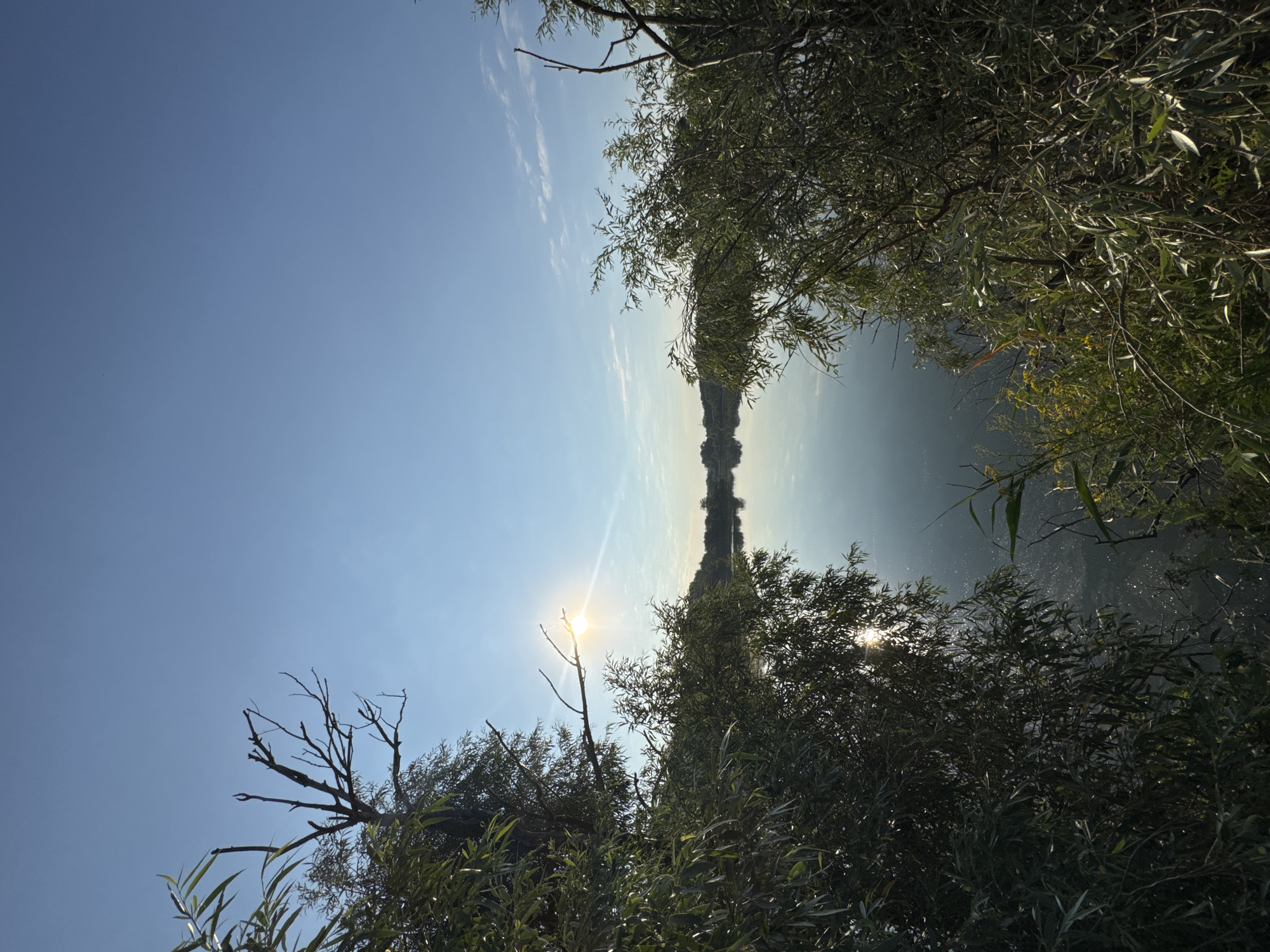 The image depicts a tranquil lake scene under a clear blue sky with a few wispy clouds. The sun is shining brightly, with its rays creating a visible halo and reflecting on the water's surface. Lush green trees and branches frame the foreground, with some bare branches also visible. The trees are dense and appear to be on the edge of the water. The water is calm and reflects the sky and surrounding foliage. In the distance, a tree line can be seen across the lake. The overall impression is one of natural beauty and peacefulness. The location is the city of Kamyshevakha, Russia.