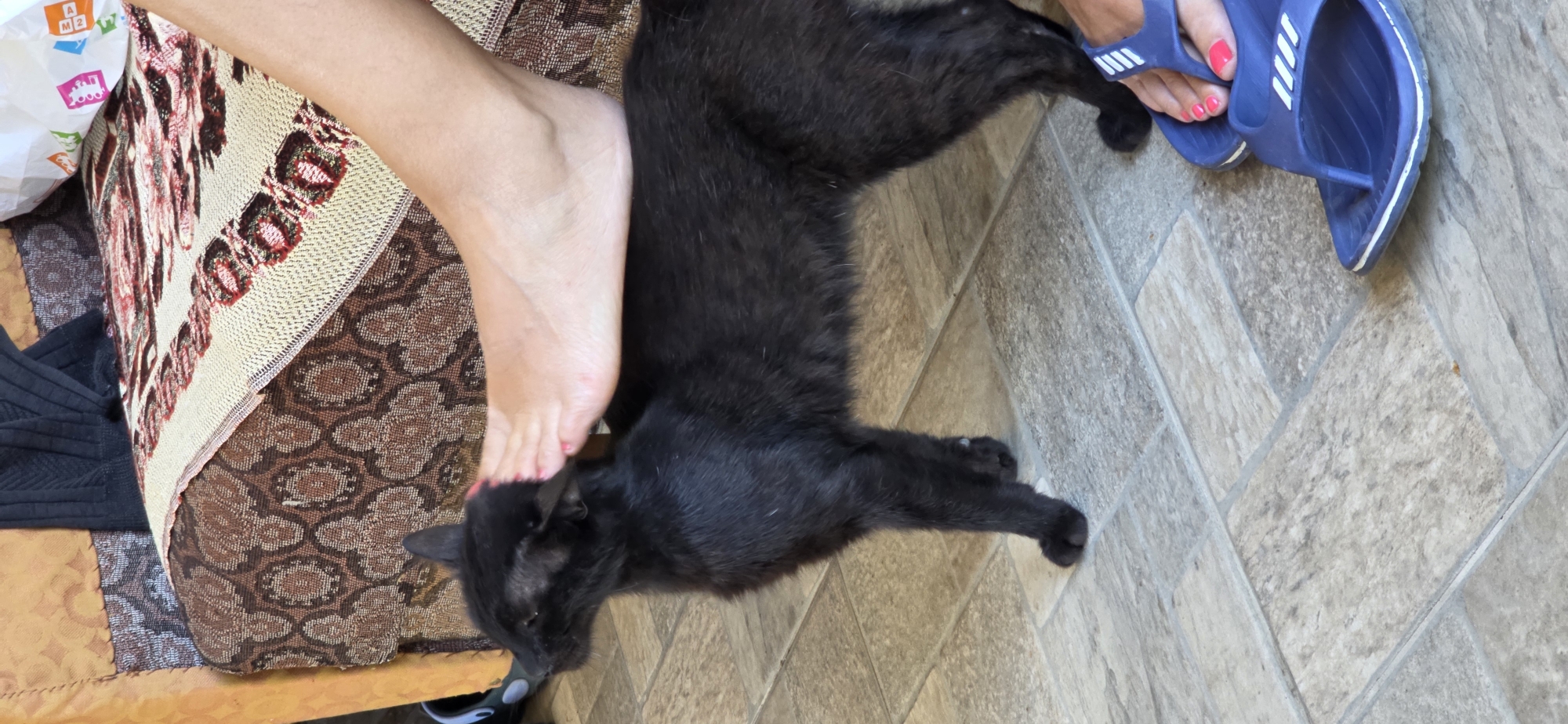 A black cat is being petted by a person's foot on the floor of a room. The cat is standing and looking to its left, with its head being touched by the person's foot. The floor is tiled with a grey and beige pattern. To the right of the cat, a person's bare foot wearing blue flip-flops is visible. In the background, part of a sofa with a patterned fabric is seen, along with a black piece of clothing. The scene is indoors.