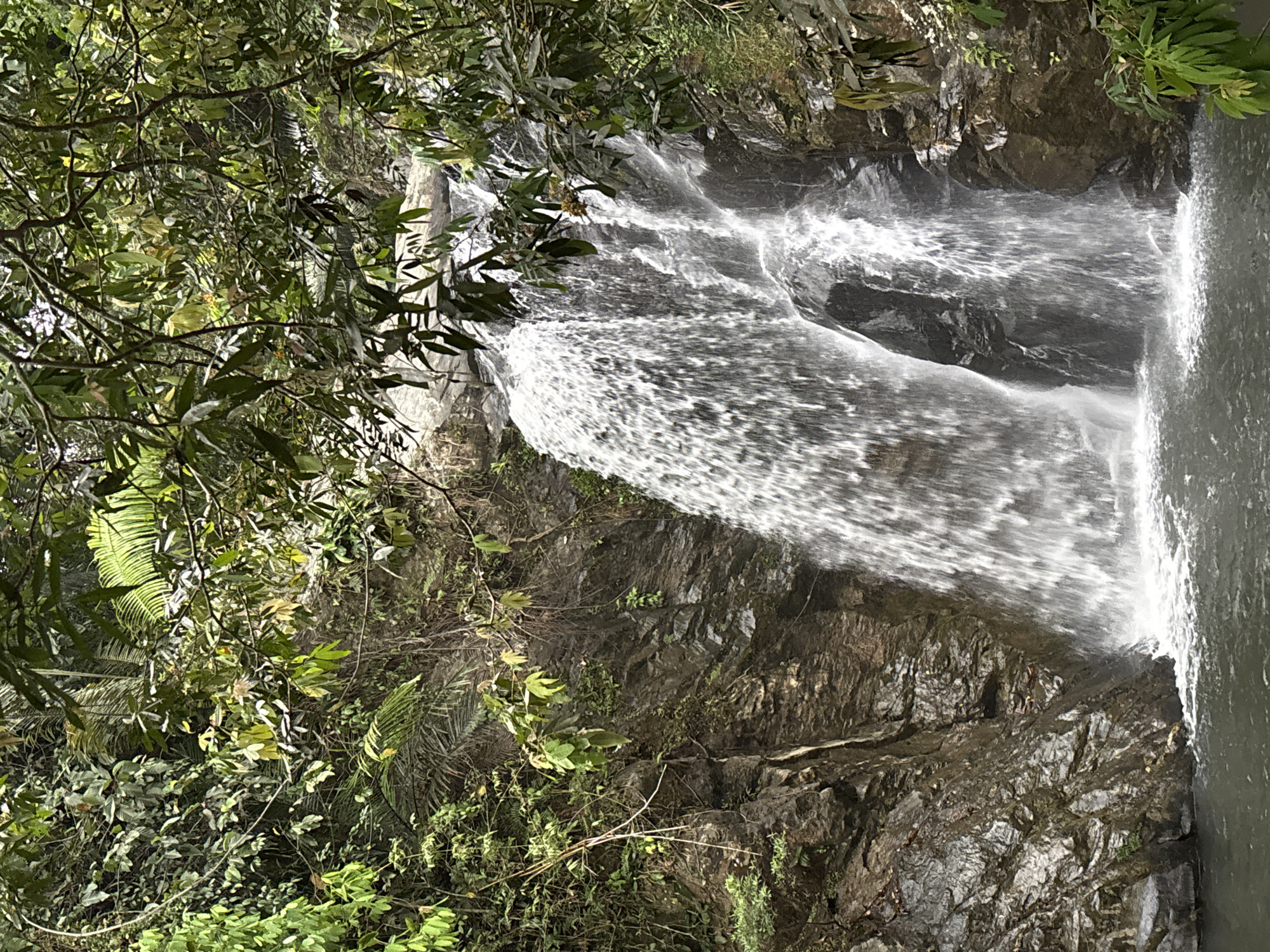 The image shows a waterfall cascading down a rocky cliff face in a lush, green environment. The water is white and frothy as it falls, contrasting with the dark, wet rocks. Vegetation, including trees, bushes, and ferns, surrounds the waterfall. The scene is lit by natural daylight, which creates highlights and shadows on the water and rocks. The location is likely in the mountains near the city of Đà Nẵng, Vietnam.