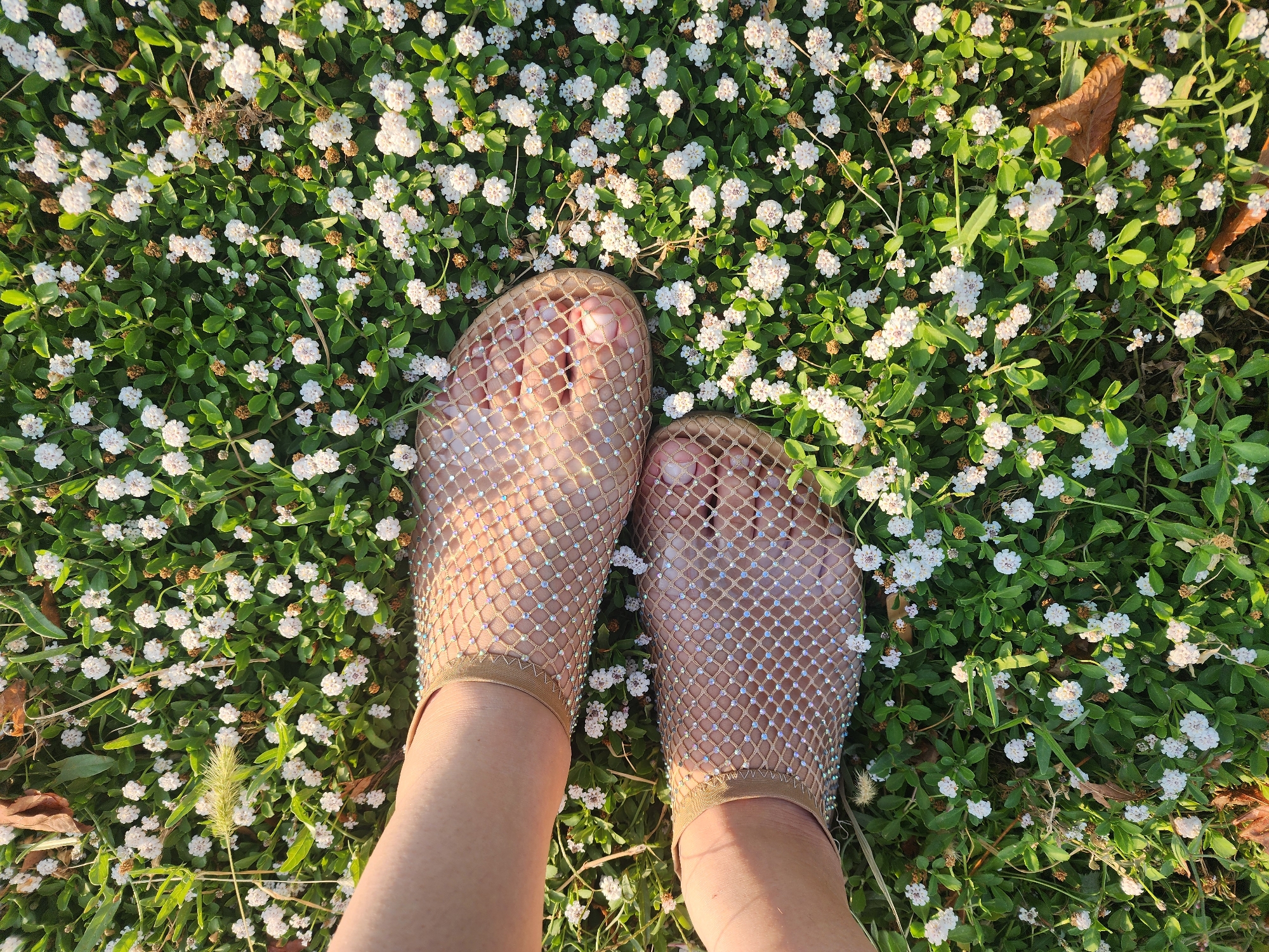 A pair of bare feet wearing shimmering mesh shoes are positioned on a bed of green clover dotted with small white flowers. The shoes have a diamond-shaped mesh pattern with embedded sparkles. The clover is dense and covers the ground, with some dried leaves also present. The scene is illuminated by natural light, suggesting an outdoor setting. The location is the city of Chirchik, Uzbekistan.