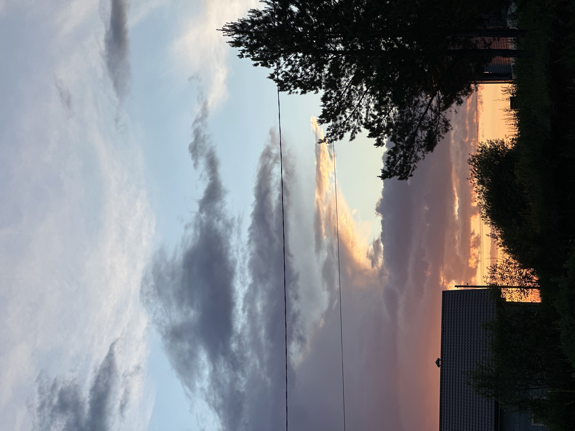 The image shows a sunset in Прикамский, Russia. The sky is filled with clouds, ranging in color from light blue to dark purple, and illuminated with orange and yellow hues from the setting sun. Silhouetted against the sky are the branches of a tree on the right side, and the roof of a house below. Power lines run vertically through the center of the image. Green foliage is partially visible on the right side, partially obscuring the house.