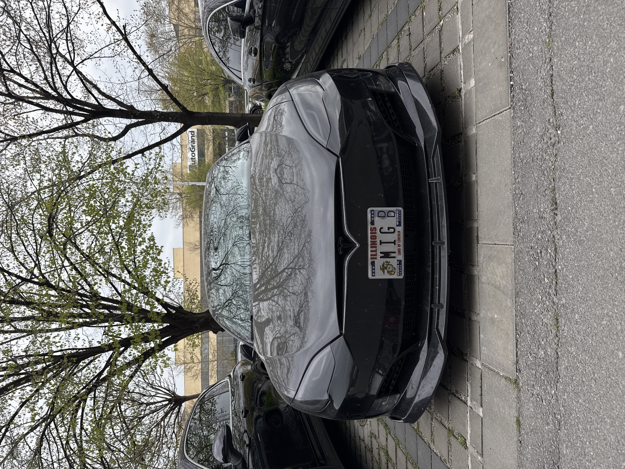 The image shows a black Tesla car parked on a paved surface. The car has an Illinois license plate with the text "M1GB". The hood of the car reflects the image of trees. The location cannot be determined since it shows an Illinois license plate, meaning that the image can't be in Plovdiv, Bulgaria. In the background, a building with the word "utoGrand" can be seen. Other cars are parked nearby. The weather appears overcast.