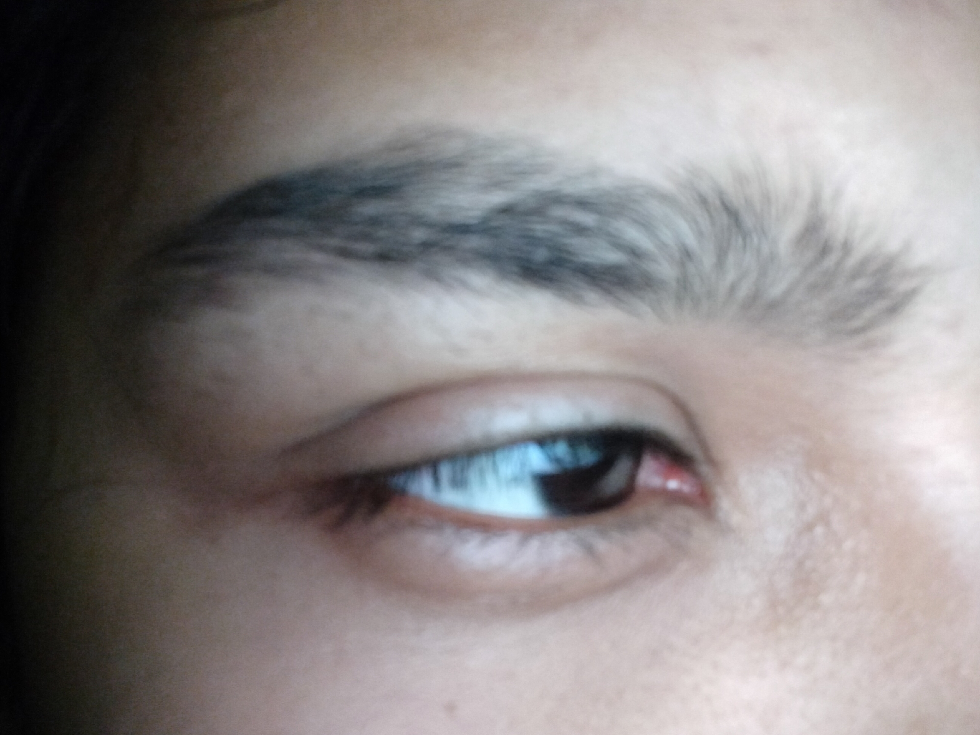 An eye and eyebrow are shown. The eye is dark brown with a white reflection. The eyebrow is thick and bushy. The surrounding skin is pale. There is no evidence that allows me to determine the location of the image.