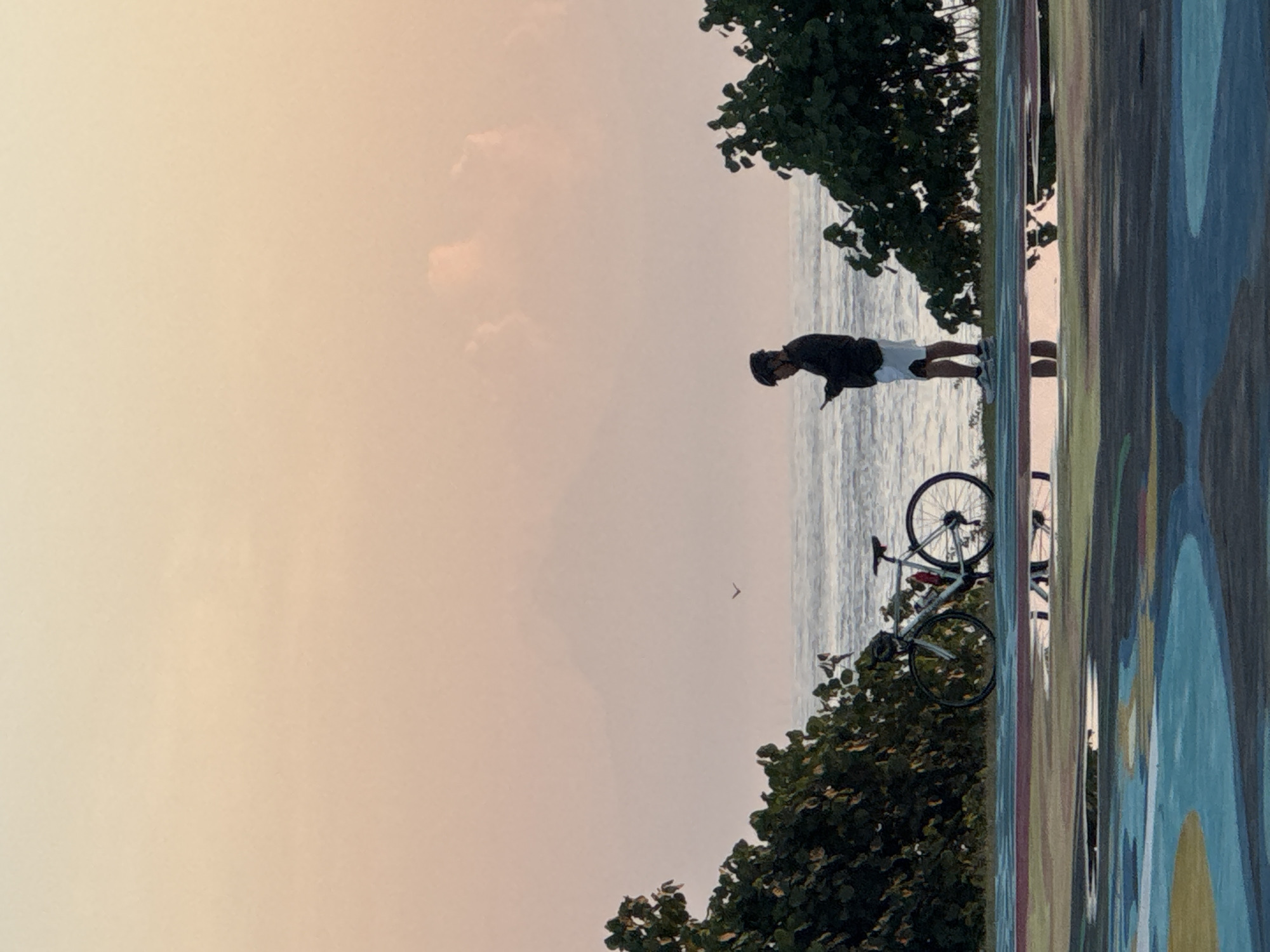 A person is standing at the edge of a shore with a bicycle parked behind them. The scene is captured from a low angle looking upward towards a light, sunset-hued sky. The ocean stretches to the horizon and a bird is visible in the distance. Trees and vegetation grow along the edge of the coastline. Part of a painted surface is on the right side of the image. This is most likely in the city of Kuta Selatan, Indonesia.