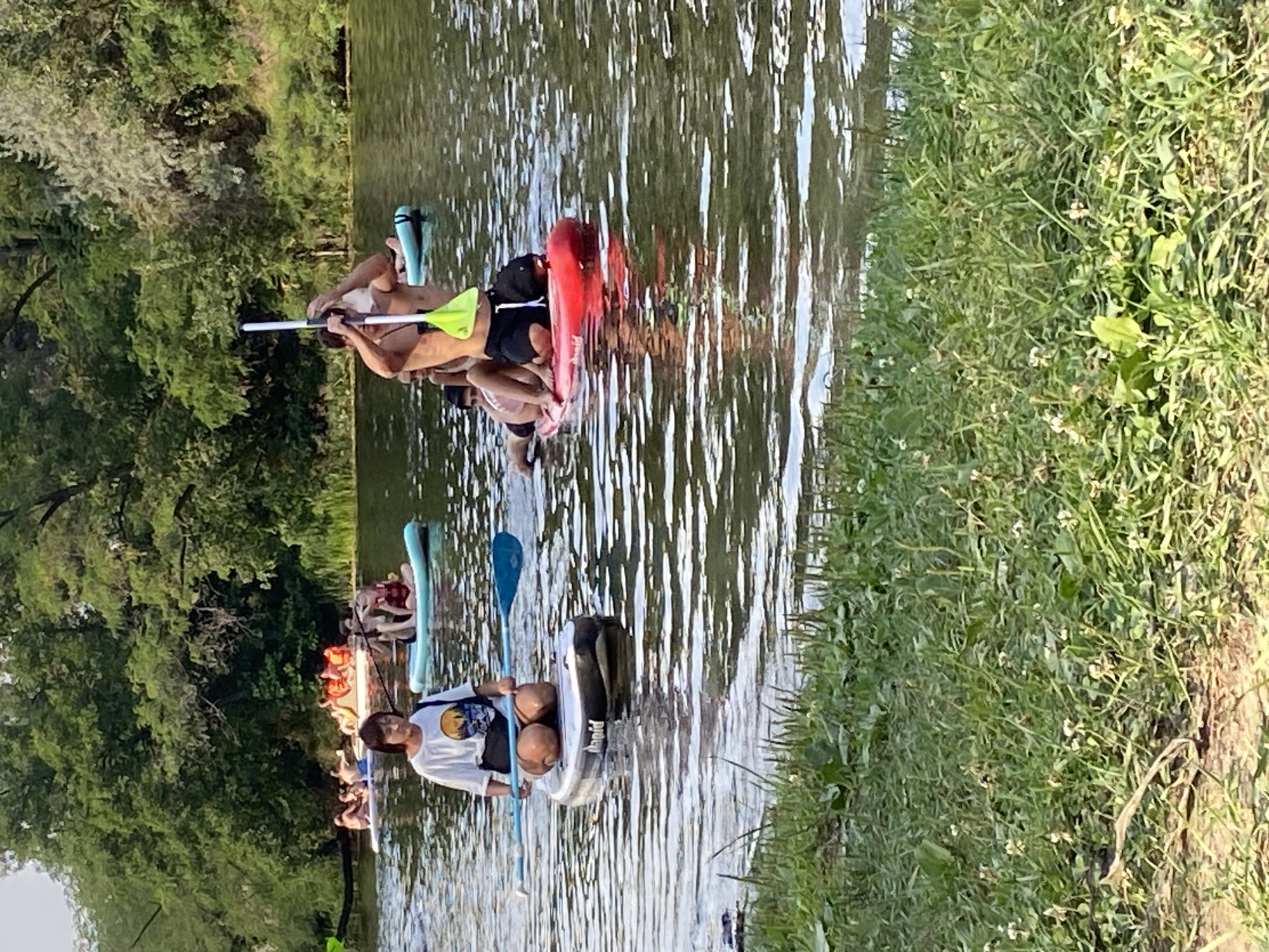 In Petrivka, Ukraine, a group of people are enjoying a sunny day on a river. Several individuals are paddleboarding, some kneeling and others sitting. One person is standing on a paddleboard and holding a paddle aloft. The river is calm with ripples on the surface. The banks of the river are lined with lush green trees and grass. The scene suggests a recreational activity in a natural setting.