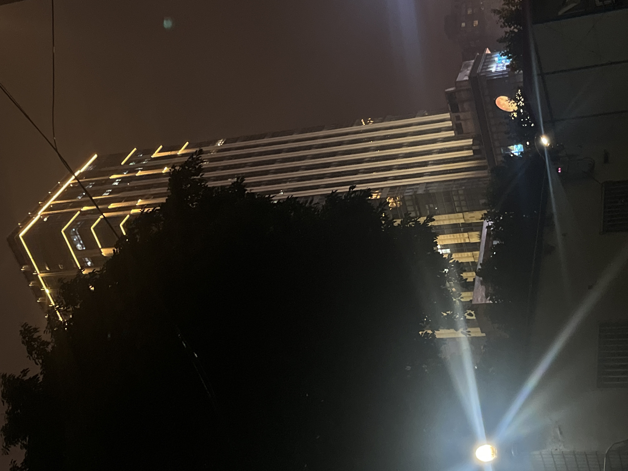 The image depicts a nighttime urban scene in Yuzhong District, China. A tall, modern skyscraper dominates the background, characterized by a prominent illumination scheme of bright yellow LED strip lights outlining its vertical architectural elements and the edges of its various sections, creating a distinct glowing grid pattern. Multiple internal lights are visible through the building's windows. A wider, lower section of the building displays additional colored lighting, including blue and red accents, and an illuminated orange circular feature.
The foreground is largely occupied by dense, dark tree foliage, obscuring the base of the skyscraper and extending across the left side of the frame. On the lower-left, a spherical street light emits a strong white light, creating visible lens flares that streak across the lower portion of the image. Partially visible beneath the foliage and light is a segment of a light-colored, possibly tiled, wall structure. The sky is dark, exhibiting a reddish-brown haze, particularly noticeable in the upper right quadrant, suggesting atmospheric conditions or light pollution. No individuals or discernible activities are present within the captured scene.