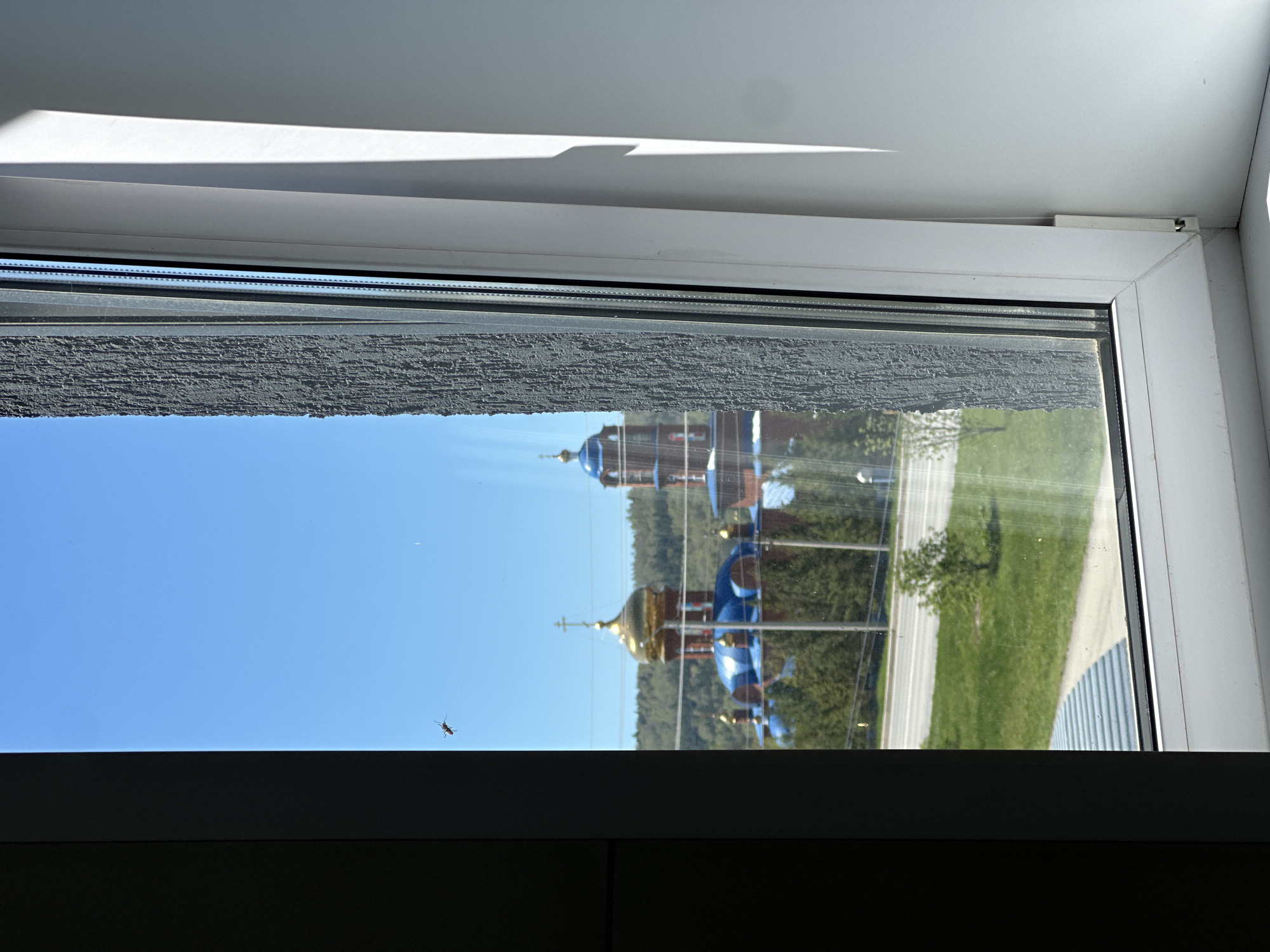The image is taken from inside a building, looking out through a window. The window frame is white, and a grey blind is partially drawn down from the top. A reflection in the window shows a building with golden and blue domes, suggesting an orthodox church, and some trees and a road. A small insect is visible on the glass, near the bottom left of the window. The reflection indicates that the building is likely located in an urban area. The exact location is unknown. The interior where the photo is taken is dark, likely a room in the building.