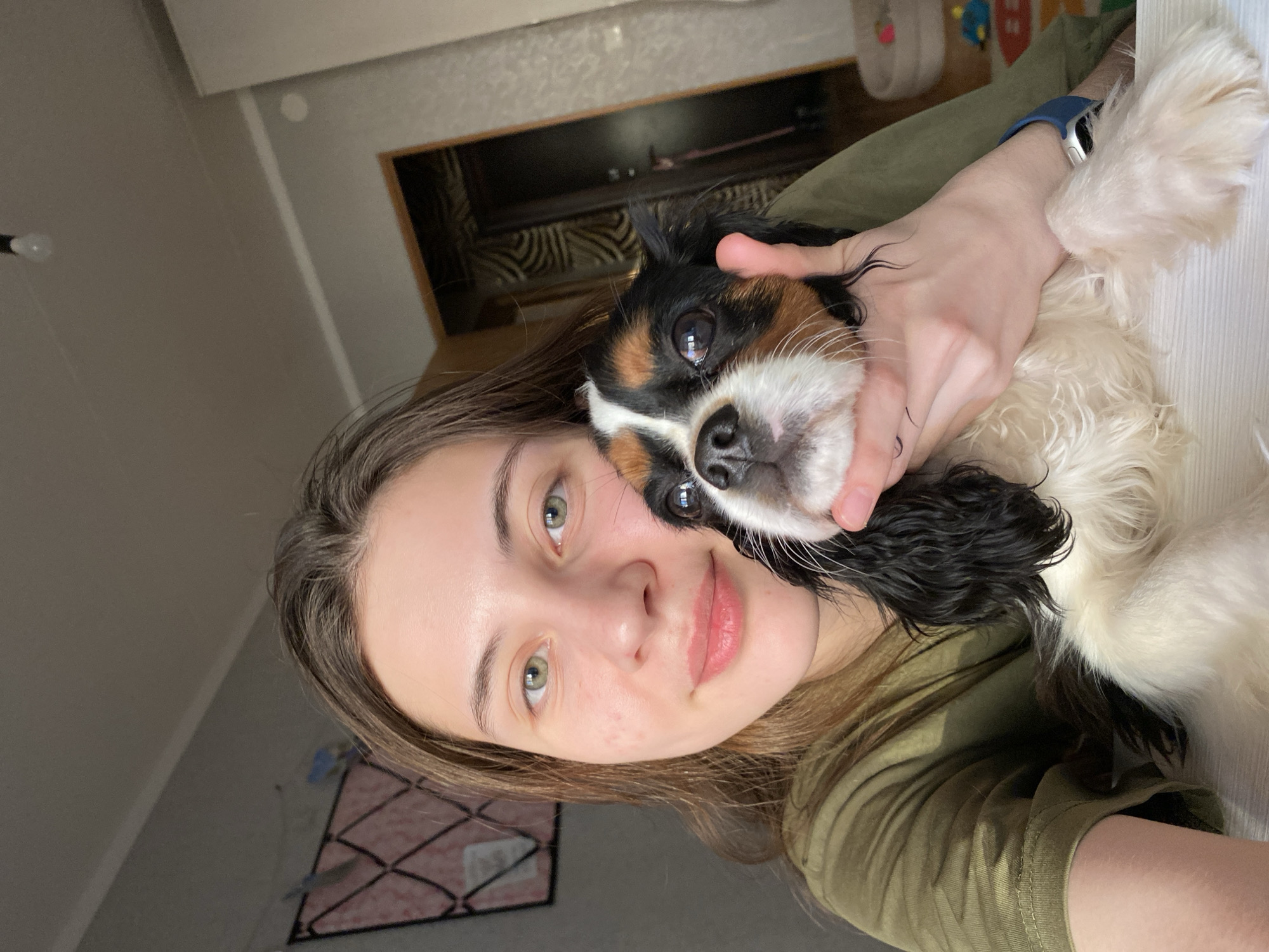 A young woman is captured in a close-up, slightly angled portrait, holding a small tri-color dog. She has long, light brown hair, fair skin, and striking green eyes, displaying a calm and relaxed expression with a subtle smile. She is wearing a dark olive green t-shirt, and a blue-strapped smartwatch is visible on her left wrist.
The dog, likely a Cavalier King Charles Spaniel, has characteristic black, white, and tan markings with soft, floppy ears. It is nestled closely beside the woman's face, looking directly at the camera with dark, gentle eyes. The woman's left hand gently supports the dog's head.
The setting appears to be an indoor environment, possibly a home. The background features a light-colored wall, with glimpses of dark wooden or metal-framed furniture and textured patterns suggesting upholstery or decor. The lighting is soft and diffused, indicating an indoor light source or indirect daylight. The overall atmosphere conveys a sense of warmth and affection between the woman and her pet. There is no visible text in the image. The location context provided for this scene is Votkinsk, Russia.