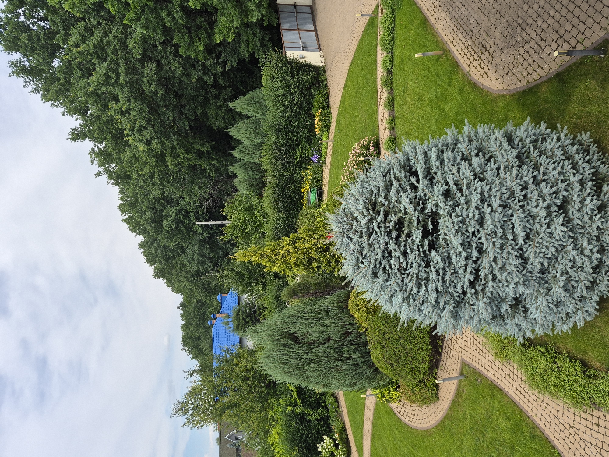 The image depicts a well-maintained garden with a variety of coniferous trees and manicured bushes. A pathway made of light brown cobblestones curves through the green lawn, bordered by neatly trimmed hedges and flowerbeds. In the background, a house with a bright blue roof is visible, surrounded by dense green foliage. The sky is overcast with scattered clouds. The scene appears to be a residential garden, possibly in Vlast Truda, Russia, given the context provided, characterized by its lush greenery and organized landscape design. There are no people or animals visible in the image.