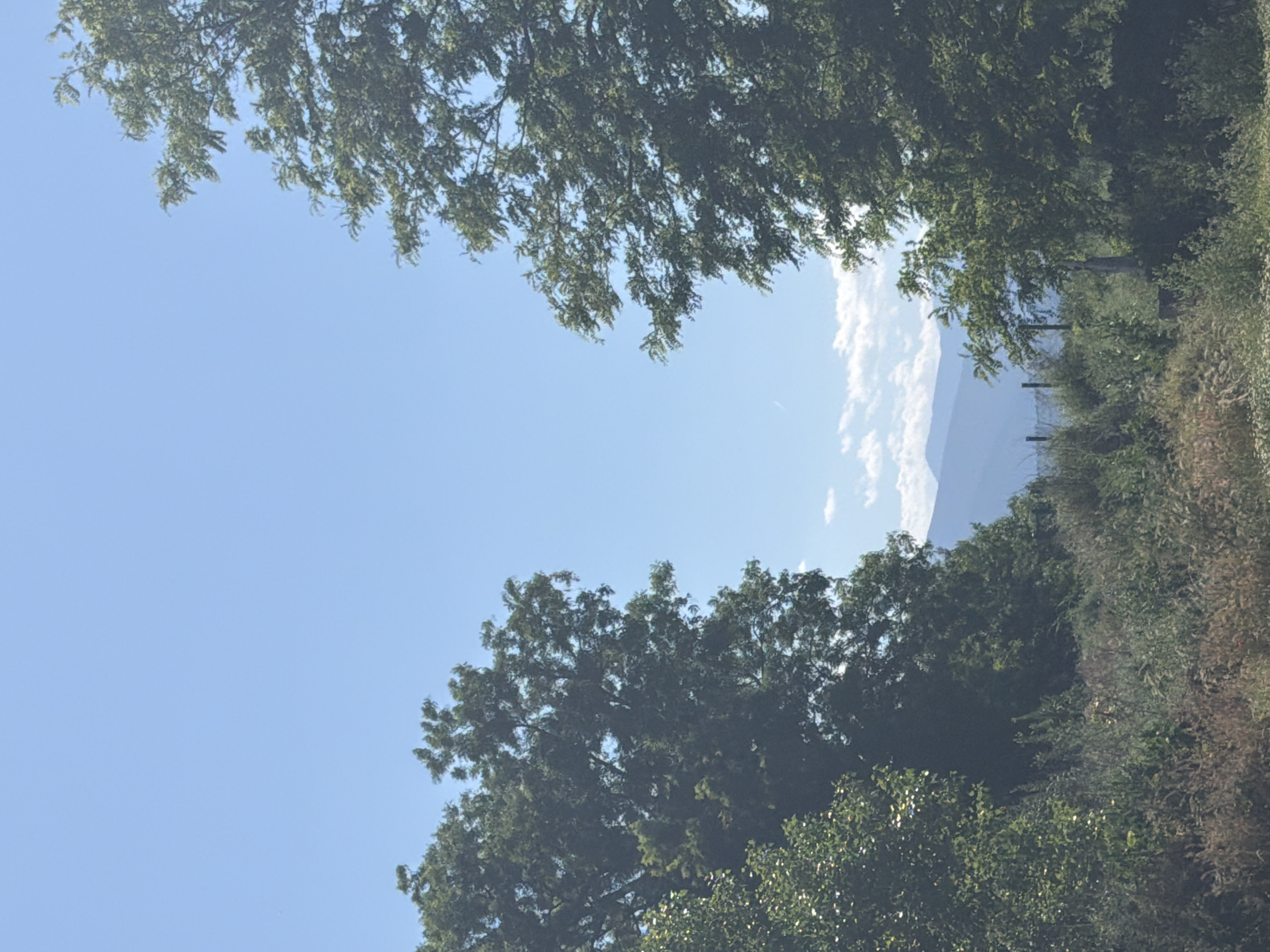 The image shows a view of mountains framed by trees and sky. The sky is a clear blue, with some white clouds partially obscuring the mountain range in the distance. The mountains are a light blue-grey. The trees form a canopy at the top and bottom of the image, with green foliage. A grassy area and what appears to be a fence line are visible on the right side. The location is in the city of Unknown, Unknown.