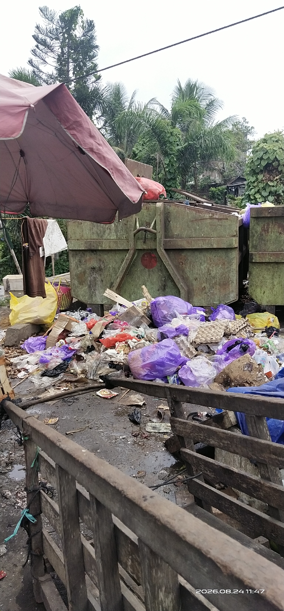 The image depicts a scene of significant litter and waste accumulation. Two large, green dumpsters are visible, partially filled with refuse. The ground around the dumpsters is heavily strewn with various types of trash, including plastic bags (some purple and yellow), cardboard, and other unidentifiable debris. In the foreground, a weathered wooden structure, possibly a fence or railing, partially obstructs the view of the garbage. An open, maroon-colored umbrella is positioned in the upper left quadrant of the image, with a brown piece of cloth and a white cloth hanging from a clothesline beneath it. Green foliage and trees are visible in the background, suggesting an outdoor setting, likely within a semi-urban or rural area given the presence of the dumpsters and the mixed vegetation. The overall impression is one of neglect and unsanitary conditions. The timestamp "2026.08.24 11:47" is visible in the bottom right corner.