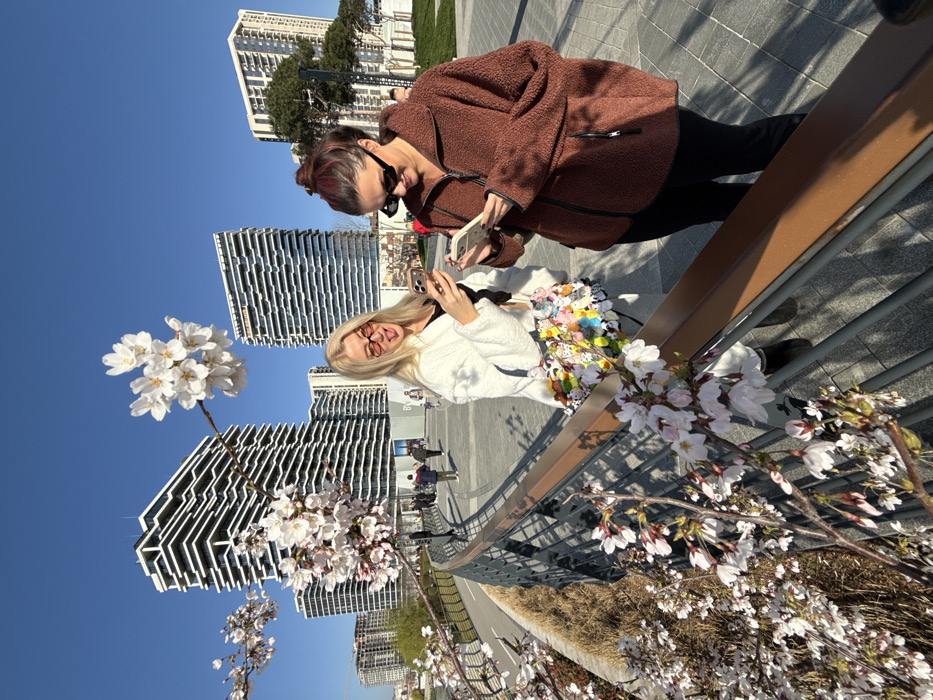 This image depicts two women on a paved pedestrian pathway in Belgrade Waterfront, Belgrade, Serbia, under a clear blue sky. The background features several modern, multi-story buildings characteristic of the Belgrade Waterfront development, with a 'BW' branded construction hoarding visible in the mid-ground.
In the foreground, a blonde Caucasian female, wearing reddish sunglasses, a white textured jacket, and black pants, holds a light-colored smartphone with both hands, looking at its screen. Her tongue is playfully extended. She carries a white handbag intricately decorated with numerous small, colorful figurines. Adjacent to her stands a Caucasian female with dark reddish-brown hair tied back, wearing dark sunglasses, a brown zippered fleece jacket, and black pants. She is also holding a dark-colored smartphone with both hands, focused on its display.
Cherry blossoms, primarily white and light pink, are prominent in the immediate foreground, partially obscuring a modern metal railing with a brown handrail. Additional blossoming branches extend into the upper right of the frame. Beyond the railing, a lower pathway and landscaped embankment are visible, with the Sava River glimpsed in the far left background. Multiple blurred figures are walking on the pathways further into the scene, indicating a public area.