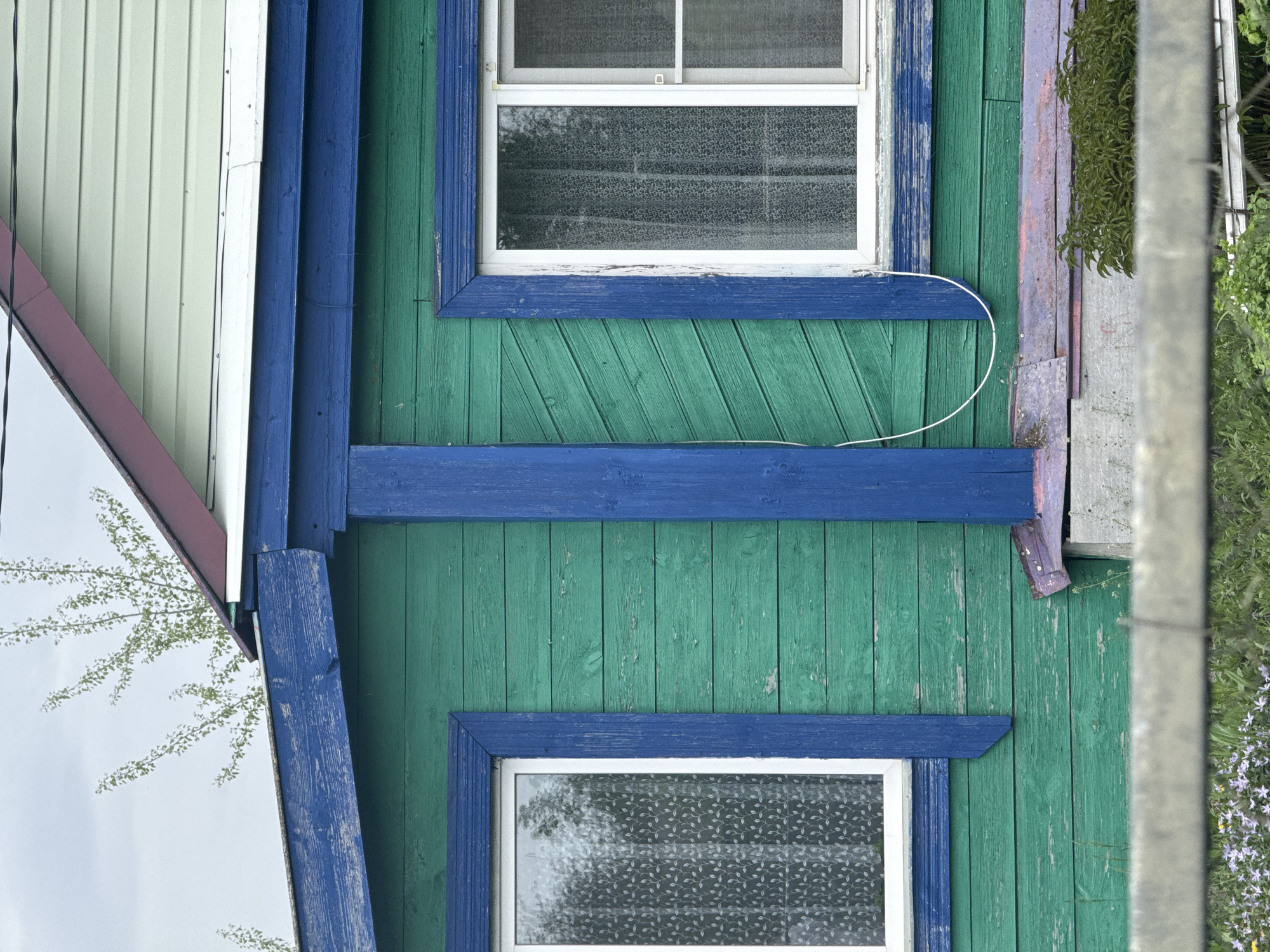 A section of a green-painted wooden building with blue trim is visible. Two windows with white frames and patterned privacy film are featured. The siding runs vertically. A white cable is attached to the building's exterior. A partial reflection of a white building and tree branches is visible in a mirror-like surface attached to the building. A concrete post and some vegetation are present on the right side of the frame. The photo appears to be taken in Ленино, Russia.