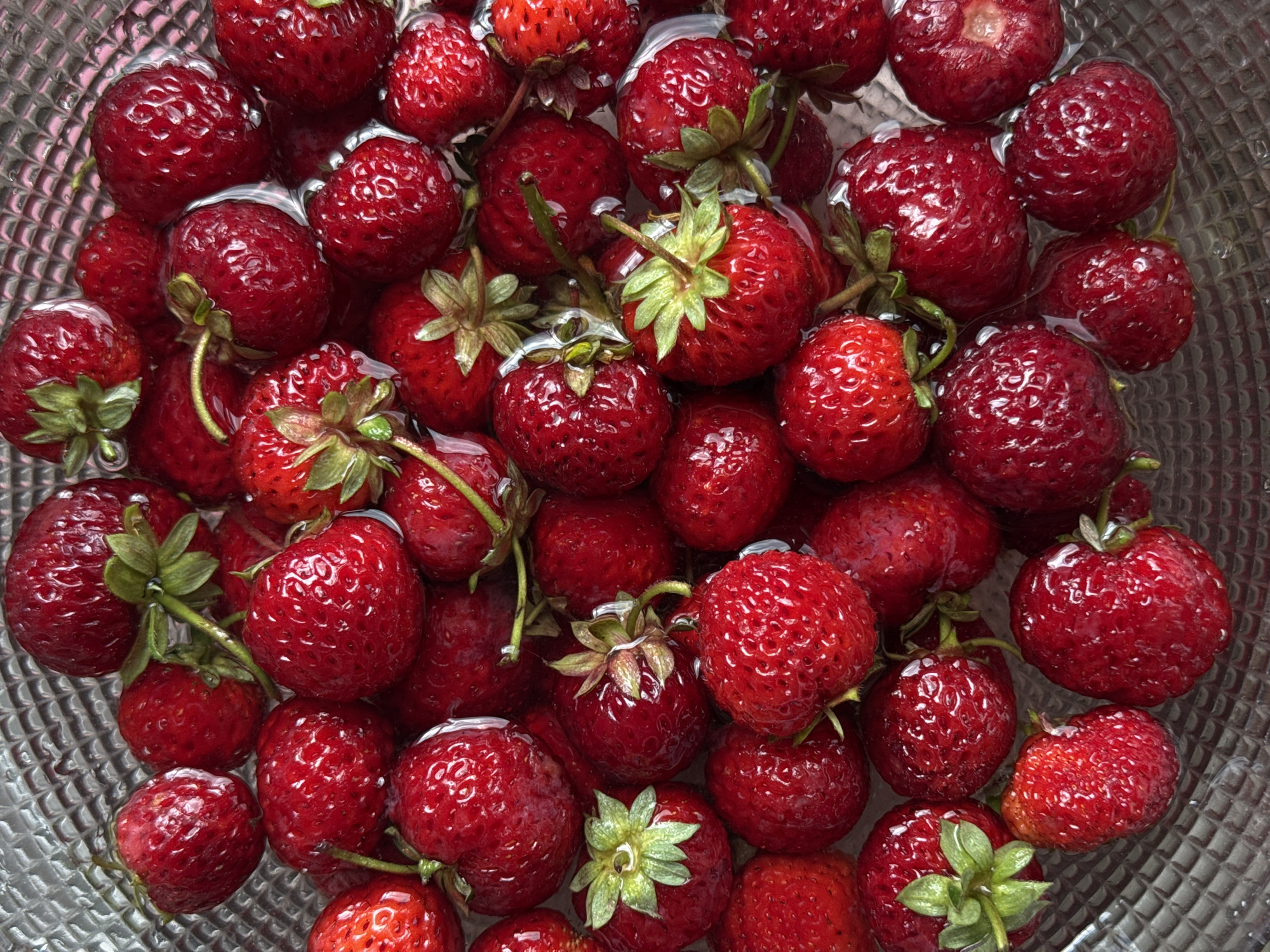 A close-up, top-down shot shows a large number of ripe, red strawberries partially submerged in water in a clear, textured bowl. The strawberries are vibrant and appear fresh, with visible seeds and green stems on many of them. The bowl's patterned surface is discernible through the water and strawberries, creating a textured background. The lighting is bright, highlighting the glossy surface of the fruit and the water. There are no people, animals, or other objects visible. The scene is static and appears to be a still life composition. No specific location in Tbilisi, Georgia is identifiable.