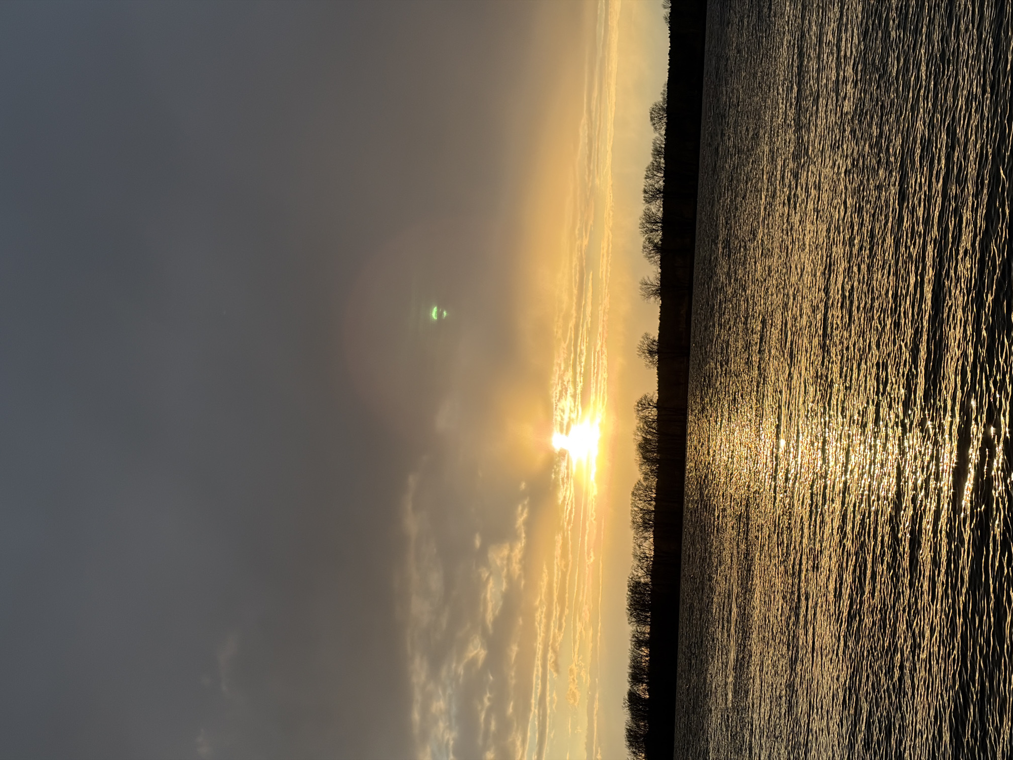 This landscape photograph, likely taken during either sunrise or sunset, captures a serene scene over a wide body of water in Chaikovsky, Russia. The image is bathed in warm, golden light emanating from the sun, which is positioned low on the horizon, slightly to the left of the center. Wispy clouds in the sky are illuminated by the sun's glow, creating streaks of orange and yellow against an otherwise clear, grey-blue sky. A distinct green lens flare is visible in the upper left quadrant, near the sun.
A dark, silhouetted treeline forms the horizon, separating the radiant sky from the reflective water. The trees appear to be deciduous and sparse, possibly indicating a season like late autumn or early spring. The vast expanse of water reflects the sun's light intensely, creating a shimmering path of gold that extends across the surface. The water's surface is textured with countless small ripples and waves, catching and scattering the light, which makes the sun's reflection particularly vibrant.
The image conveys a sense of calm and natural beauty during the "golden hour." There are no people or discernible text visible in the photograph.