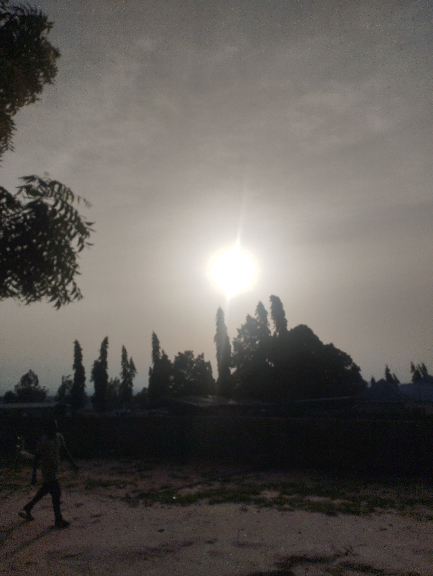 A low-angle shot taken at dusk, possibly in the city of Gombe, Nigeria, featuring a landscape under a hazy sky with a prominent sun. In the foreground, a dirt path or open space is visible, with sporadic vegetation emerging through the ground.
A person is walking across the path or open space in the lower left portion of the image.
Beyond the path, there is a line of trees silhouetted against the sky, some with a taller, more slender shape. The sun is positioned high in the sky, emanating a bright, diffuse light. Part of a tree with leafy branches is visible on the left side of the image.