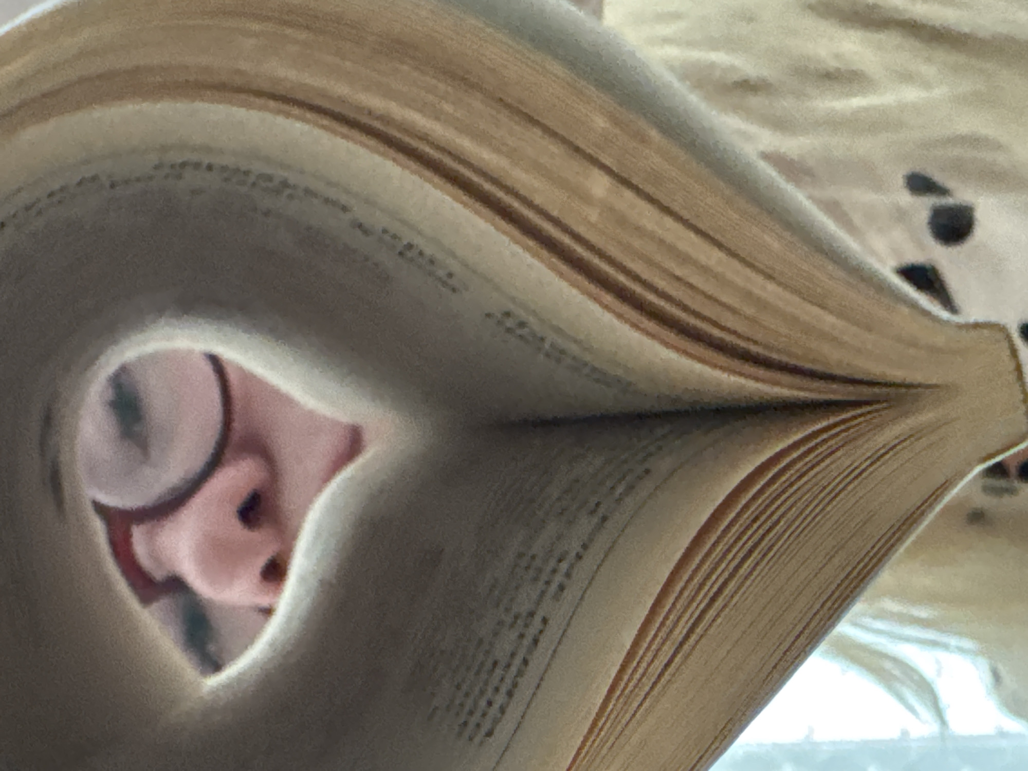 A close-up perspective shows an open book, its pages curved to form a heart-shaped opening through which a person's face is visible. The person has fair skin, wears glasses, and is looking at the camera. The book's pages are yellowed and textured, suggesting age. Text is visible on the pages surrounding the opening. The edges of the book are also yellowed. The background is blurred. The location is not discernible, as the image lacks any visual indicators connecting it to Chaikovsky, Russia.