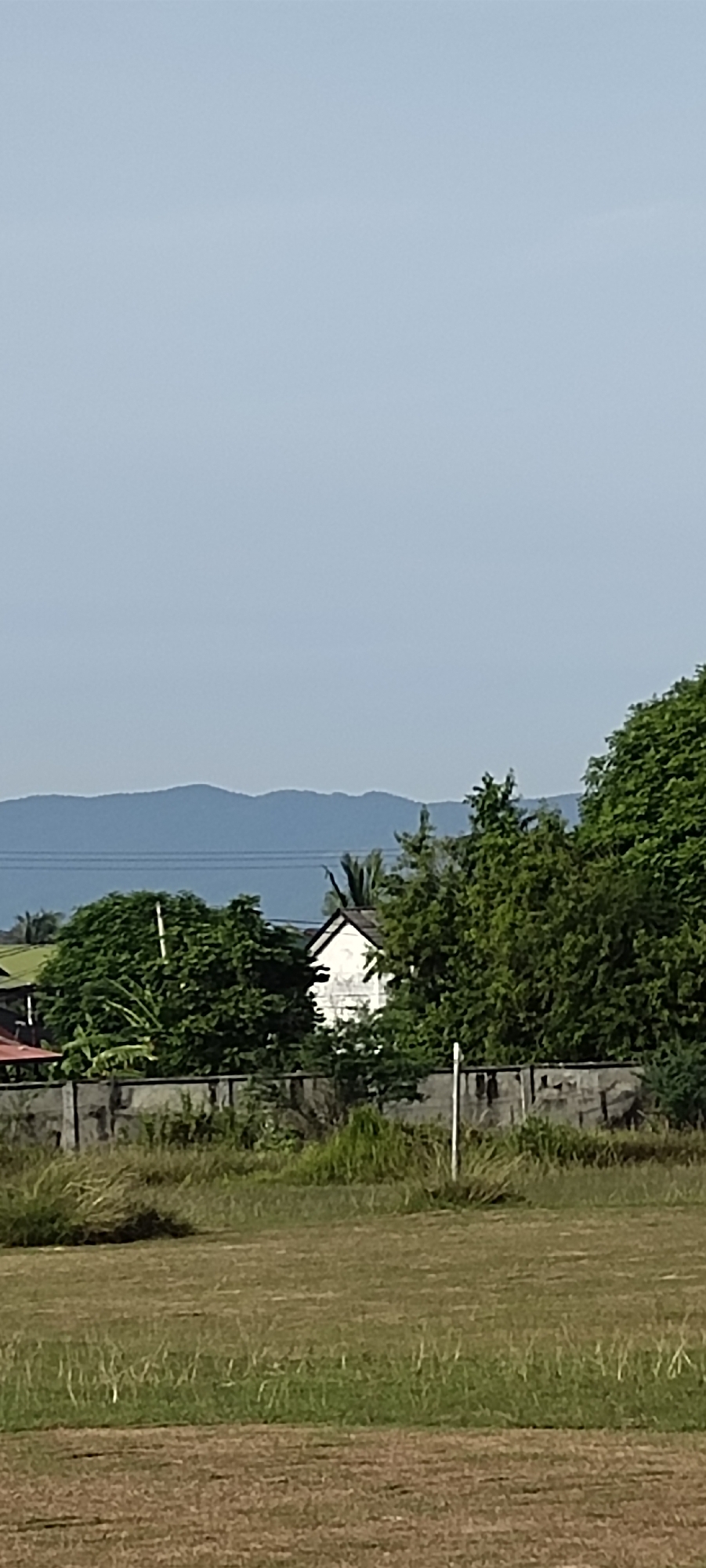 This image depicts an outdoor scene with a clear, pale blue sky dominating the upper portion. In the middle ground, a line of lush green trees forms a backdrop against the sky, with a prominent white building peeking through the foliage. A concrete wall runs horizontally across the middle ground, separating the vegetation and building from the foreground. The foreground consists of a large expanse of grass, with some areas appearing mown and others overgrown with taller blades. The ground transitions from a lighter, drier texture in the lower part of the frame to a more vibrant green further back. In the distance, a range of blue-hued mountains can be seen, suggesting a rural or semi-rural setting. The overall impression is one of a peaceful, open space, likely in a tropical or subtropical climate, given the dense foliage and type of vegetation. Without further context or landmarks, pinpointing the exact location within Banda Aceh, Indonesia is not possible from the visual information alone. However, the presence of mountains in the background could indicate an area on the outskirts of the city, closer to its natural landscape.
