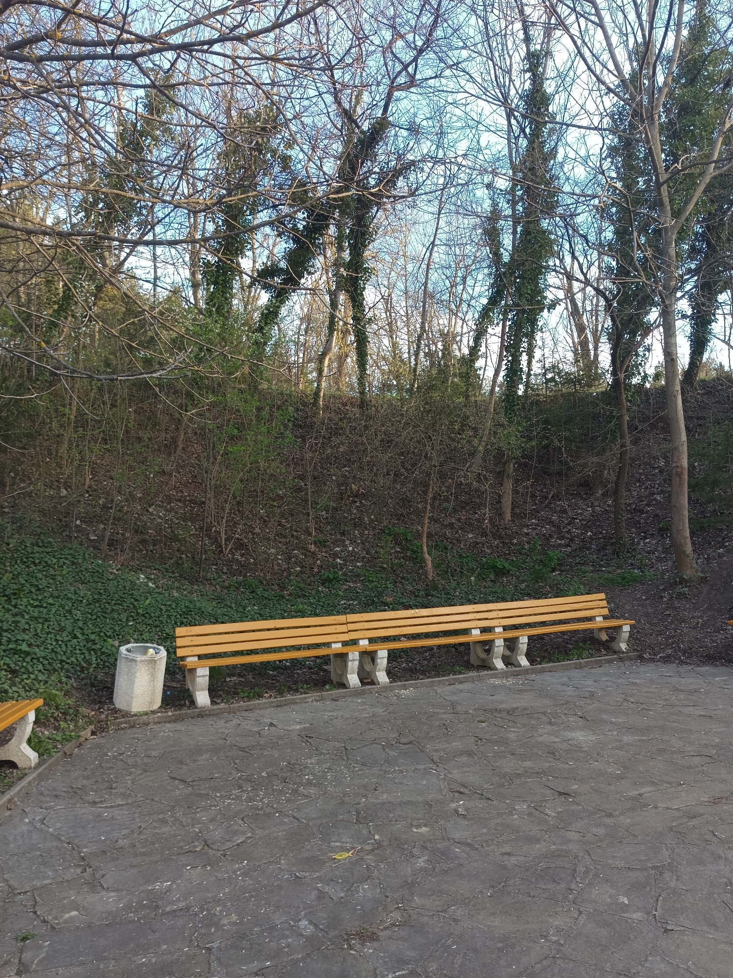 The image depicts a park scene, likely in Targovishte, Bulgaria. A long, wooden bench with concrete supports sits on a paved, stone surface. Behind the bench, a slope covered with greenery and trees extends upwards. Some of the trees are bare, while others have ivy growing on their trunks. A concrete trash receptacle is located to the left of the bench. The sky is visible through the branches of the trees. No people are visible in the image.