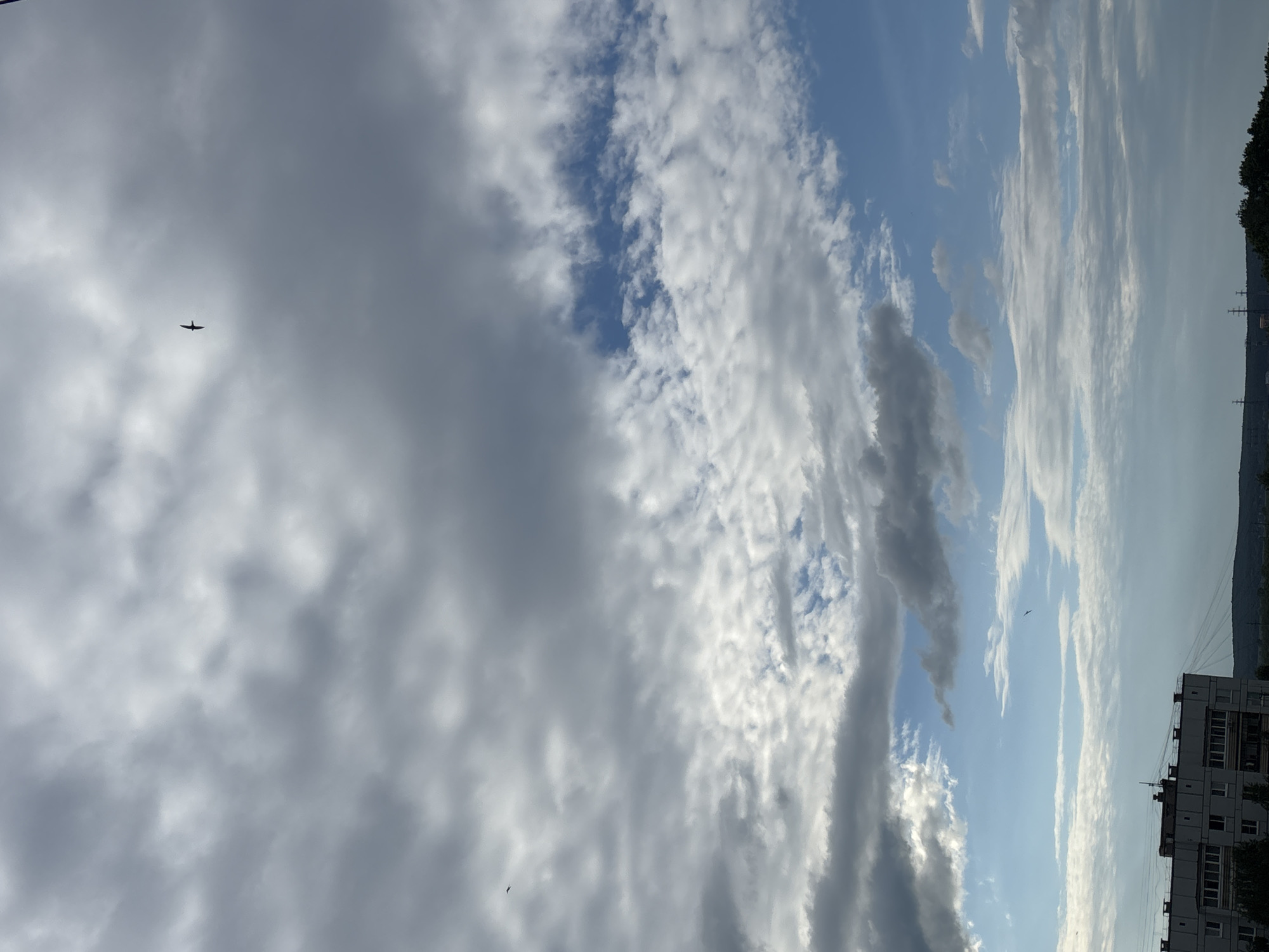 This is a vertical, eye-level, medium shot of a cloudy sky with a distant airplane. The sky is a mix of light and dark clouds, with patches of blue visible. The clouds are scattered and appear to be moving from left to right. The airplane is small and dark, and it is flying in the upper left quadrant of the image. The image is taken from a low angle, looking up at the sky.
There are no people or objects visible in the immediate foreground. The background consists of a few buildings and trees, suggesting an urban or suburban setting. The time of day appears to be late afternoon or early evening, as the light is soft and the shadows are long. The weather is cloudy but not rainy.
The image is devoid of any visible text. The overall mood of the image is peaceful and serene, with the airplane adding a touch of dynamism to the otherwise still scene. The location is identified as Chaikovsky, Russia.