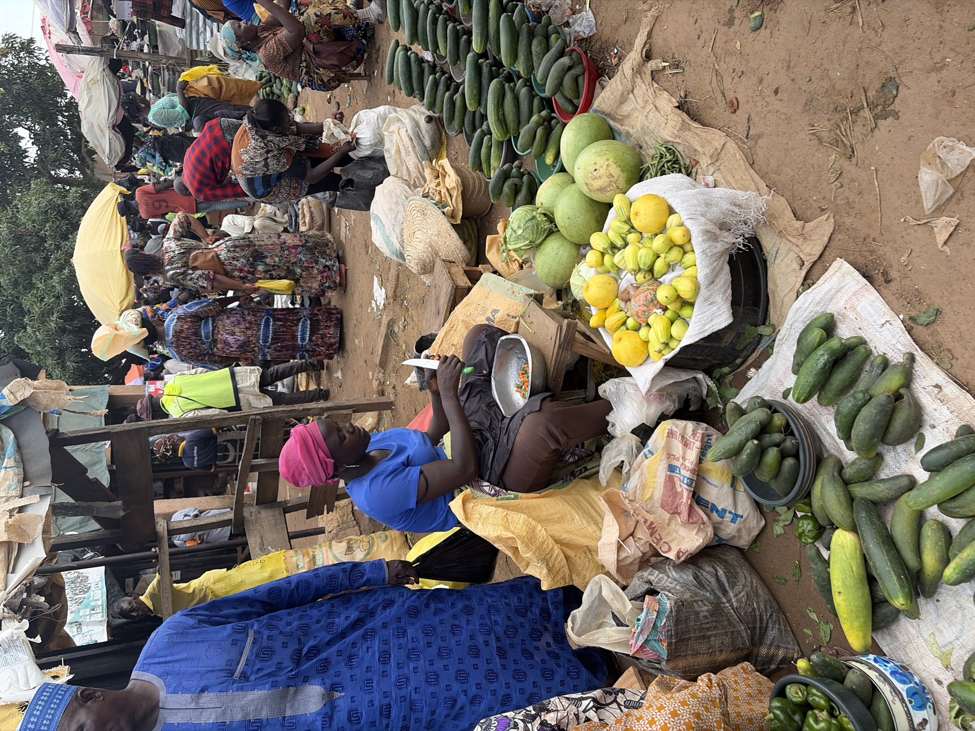 This image depicts a vibrant, bustling market scene in Gura Top, Nigeria. The primary subjects are people, likely vendors and shoppers, engaged in commerce. Several individuals are seen interacting with produce, arranging goods, and attending to customers. Objects prominently featured include an abundance of fresh vegetables, notably cucumbers and what appear to be watermelons and various gourds. Bags, baskets, and makeshift stalls constructed from wood and tarpaulin are visible, serving as the setting for the market.
The activity taking place is the selling and buying of fresh produce. The overall atmosphere appears dynamic, with a sense of everyday commerce. The people are dressed in casual and traditional attire, suggesting a local, authentic setting. One woman in the foreground wears a striking blue tunic and a pink headscarf, while another person is dressed in a traditional blue garment with intricate patterns.
Notable details include the abundant display of vegetables, suggesting a good harvest or a lively market day. The ground is dirt, typical of many outdoor markets. The lighting suggests it could be daytime, possibly late morning or early afternoon, given the overall brightness. There are no strong indicators of specific weather, though it appears to be an outdoor market without immediate shelter from rain.
Visible text includes "MED", "G", "EM", "PLAN PLC", "IME", "welght", and "LIMESTONE ACEM ENT". This text appears on packaging, likely bags of cement or other goods being sold or used in the market. The presence of English text on some of the packaging might indicate imported goods or a broader commercial context. The image captures a snapshot of daily life and economic activity in a Nigerian marketplace.
