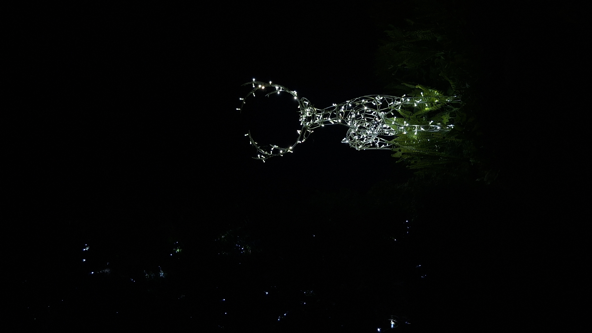 A wireframe reindeer decoration illuminated with white lights stands next to a patch of green foliage in the dark. Below the reindeer, there are scattered points of light. The location is not discernible from the image.