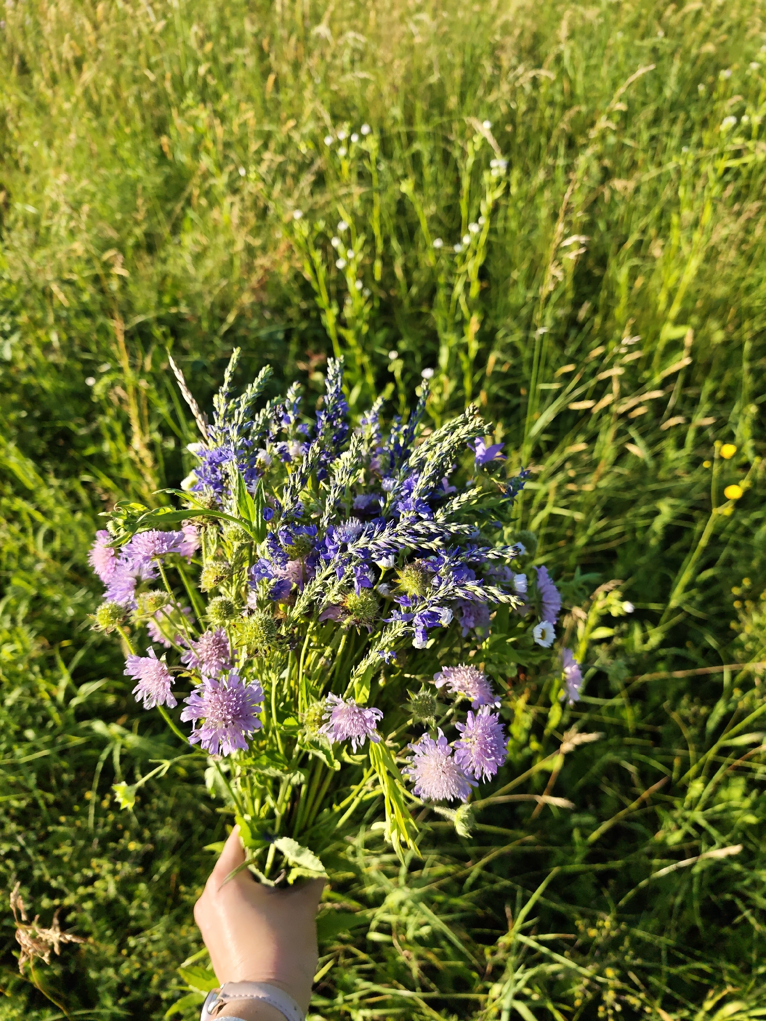 A hand holds a bouquet of wildflowers in a sun-drenched meadow. The bouquet features a mix of purple and pink blossoms, with some greenery interspersed. The background is a blur of lush green grass and wild flowers, suggesting a natural, outdoor setting. The sunlight illuminates the scene, creating a warm and inviting atmosphere, likely indicating a pleasant time of day, perhaps late afternoon given the golden hue of the light. The location is identified as Parkhomivka, Ukraine. No text is visible in the image.