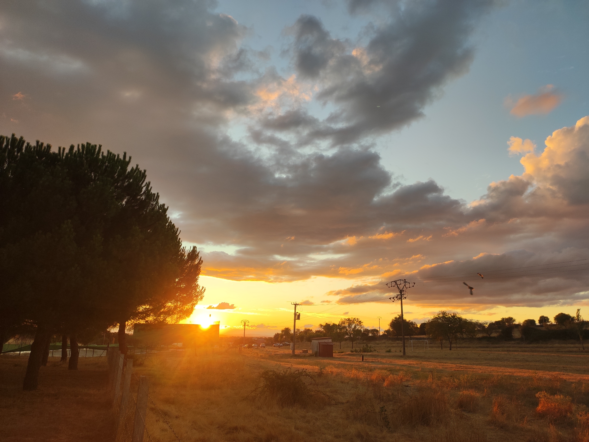 This is a medium-shot, horizontal photograph taken at sunset in the city of Sobradillo, Spain. The image captures a rural landscape with dry, golden grass in the foreground and a line of trees on the left. The sun, a bright orb with strong lens flare, is low in the sky and shining intensely behind a dark structure. In the middle ground, there are power lines supported by utility poles, a small red structure, and a few parked cars. The sky is filled with a mix of dark, heavy clouds and brighter, scattered clouds illuminated by the sunset, with hues of orange and pink. Three birds are visible in flight against the sky, and a wire fence runs along the bottom left of the frame. The overall scene suggests an agricultural or semi-rural area on the outskirts of Sobradillo.