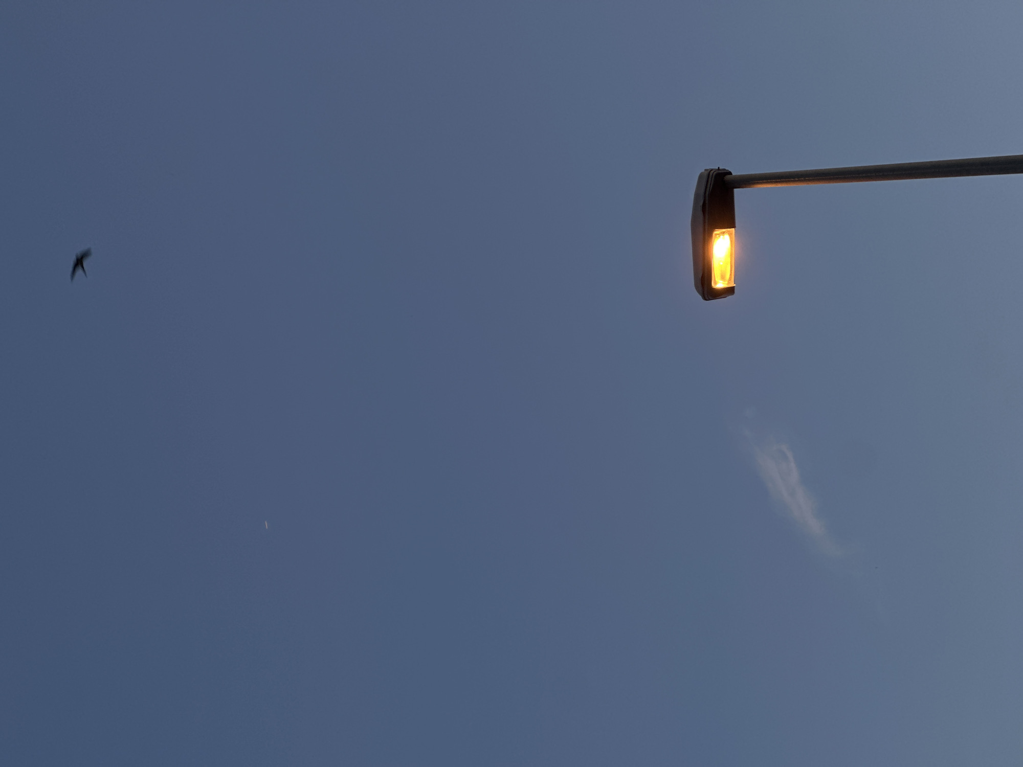 The image shows a street light on the right side of the frame against a blue sky. The light is turned on, emitting a warm orange glow. The street light is attached to a pole extending horizontally from the right. In the background, on the left side of the frame, a bird is flying. Slightly to the right of the bird, a barely visible crescent moon is in the sky. A wispy, cirrus cloud is visible on the right side, below the light. The location is likely in Šušanj, Montenegro.