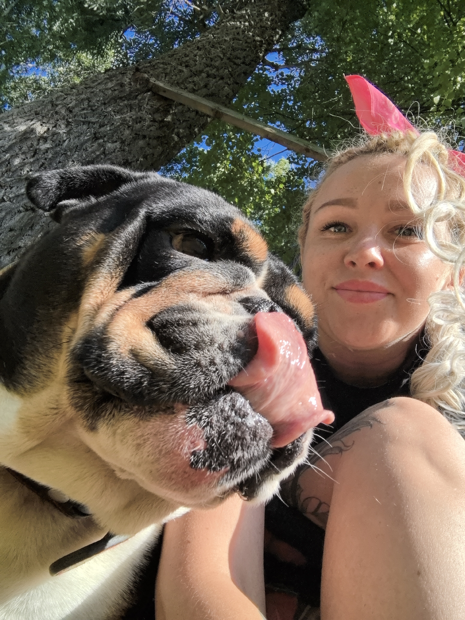 This is a selfie taken outdoors, possibly in the city of Noviy, Russia, given the context. The foreground is dominated by the face of a bulldog, which is positioned close to the camera and appears to be licking its tongue. The dog's fur is a mixture of black, tan, and white. To the right of the dog, a woman with blonde curly hair tied up with a pink bandana is visible. She is smiling and looking towards the camera. Her right arm and shoulder are in view, and she has tattoos on her arm. The background consists of a large tree trunk and lush green foliage, with a glimpse of a blue sky. The lighting suggests it is daytime and sunny.