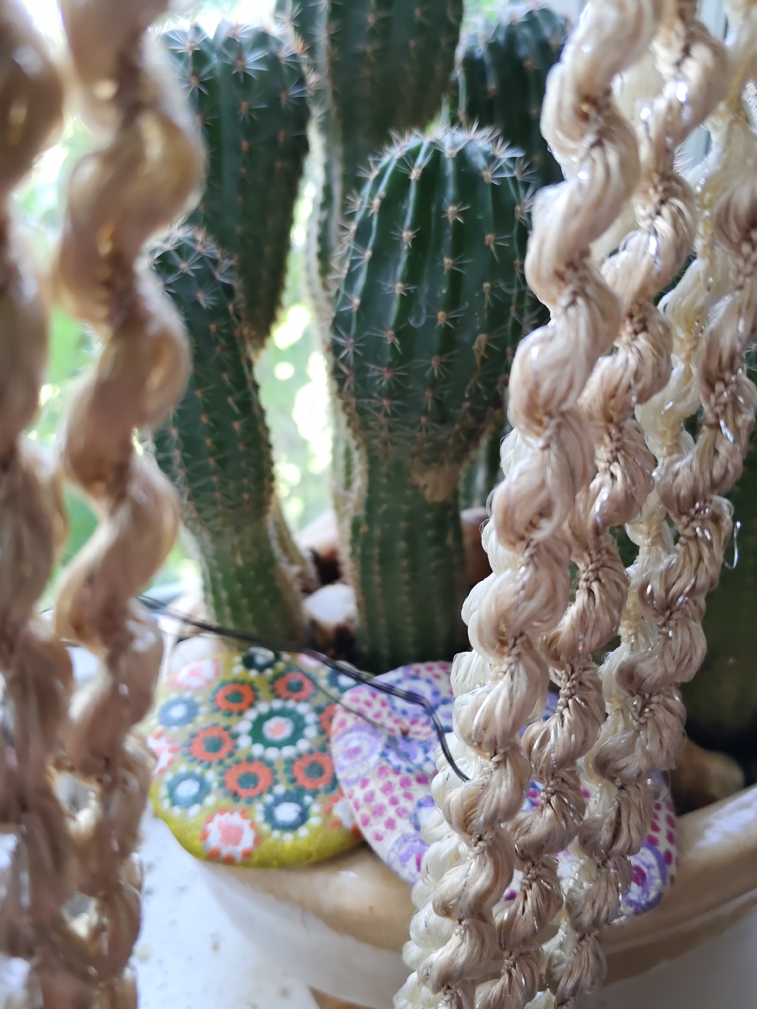 The image shows a close-up of a potted cactus with a macrame hanger in the foreground. The cactus is green and spiny, with several tall stems. Two painted rocks are visible at the base of the cactus, one with a yellow base and a pattern of orange, green, and white circles, and another with a pink and purple dot pattern. The macrame hanger is made of thick, twisted rope in shades of beige and cream, with a metallic thread woven through it, creating a shimmering effect. The background is blurred and appears to be a window with natural light filtering through. The scene is set indoors, possibly on a windowsill. There are no people or animals present. The image does not provide any information that would indicate its location in Rostov-on-Don, Russia.