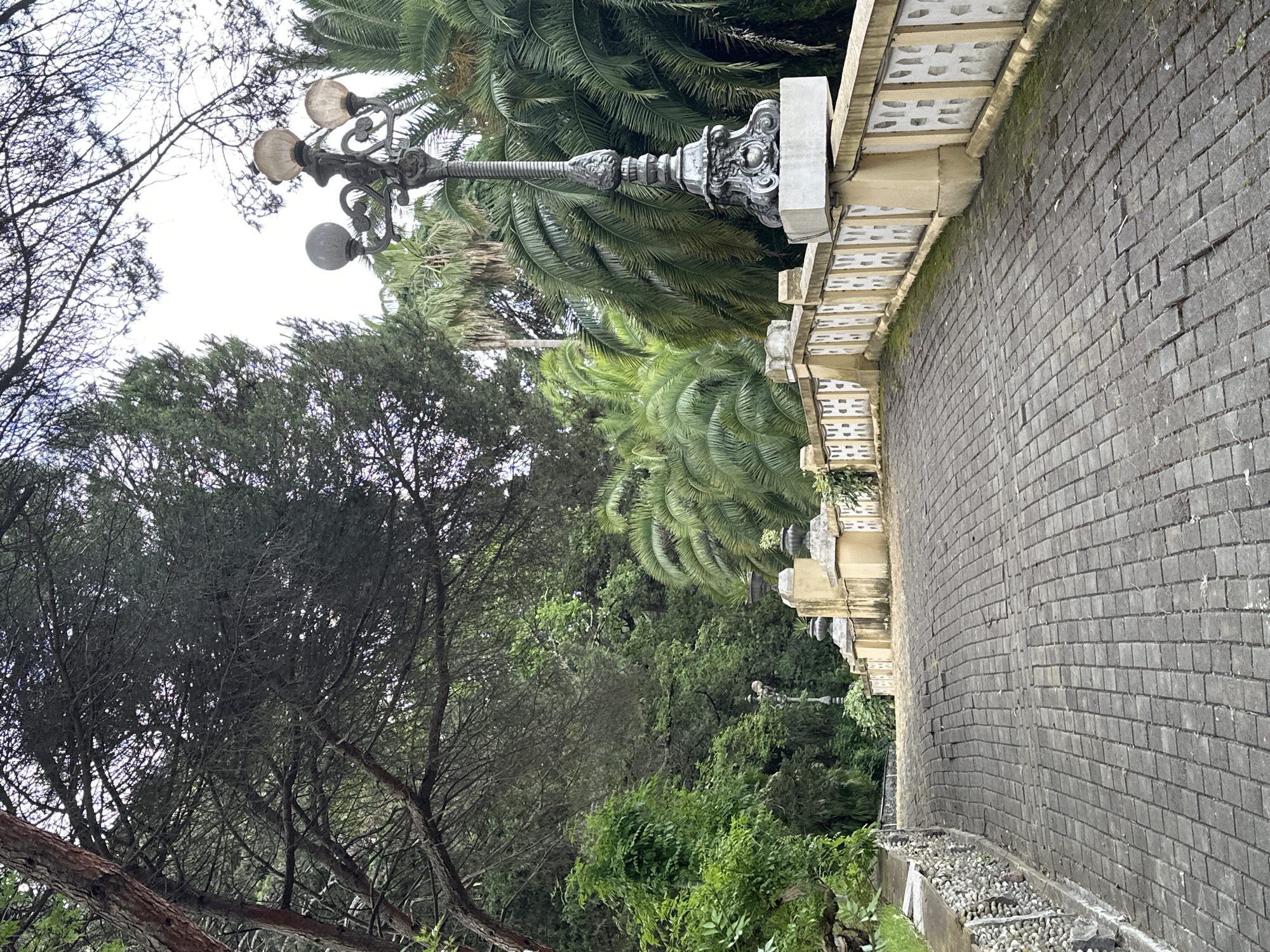 This media file shows an outdoor scene with a paved walkway bordering a lush green garden. The walkway is made of dark gray cobblestones, and it curves to the right, bordered by a decorative concrete railing with an ornate design. Behind the railing, palm trees and other dense foliage create a vibrant backdrop.
In the foreground, a vintage lamppost with three lights stands prominently. Its dark metal structure features intricate detailing. The lamppost is positioned near a large tree with dark, bare branches in the upper left portion of the image.
The lighting suggests it is daytime, possibly overcast, as there are no harsh shadows. The overall atmosphere is serene and suggests a park or garden setting. There is no visible text in the image. The lush vegetation and palm trees, coupled with the architectural style of the lamppost and railing, evoke a sense of a Mediterranean or subtropical climate, consistent with a location like Sochi, Russia.