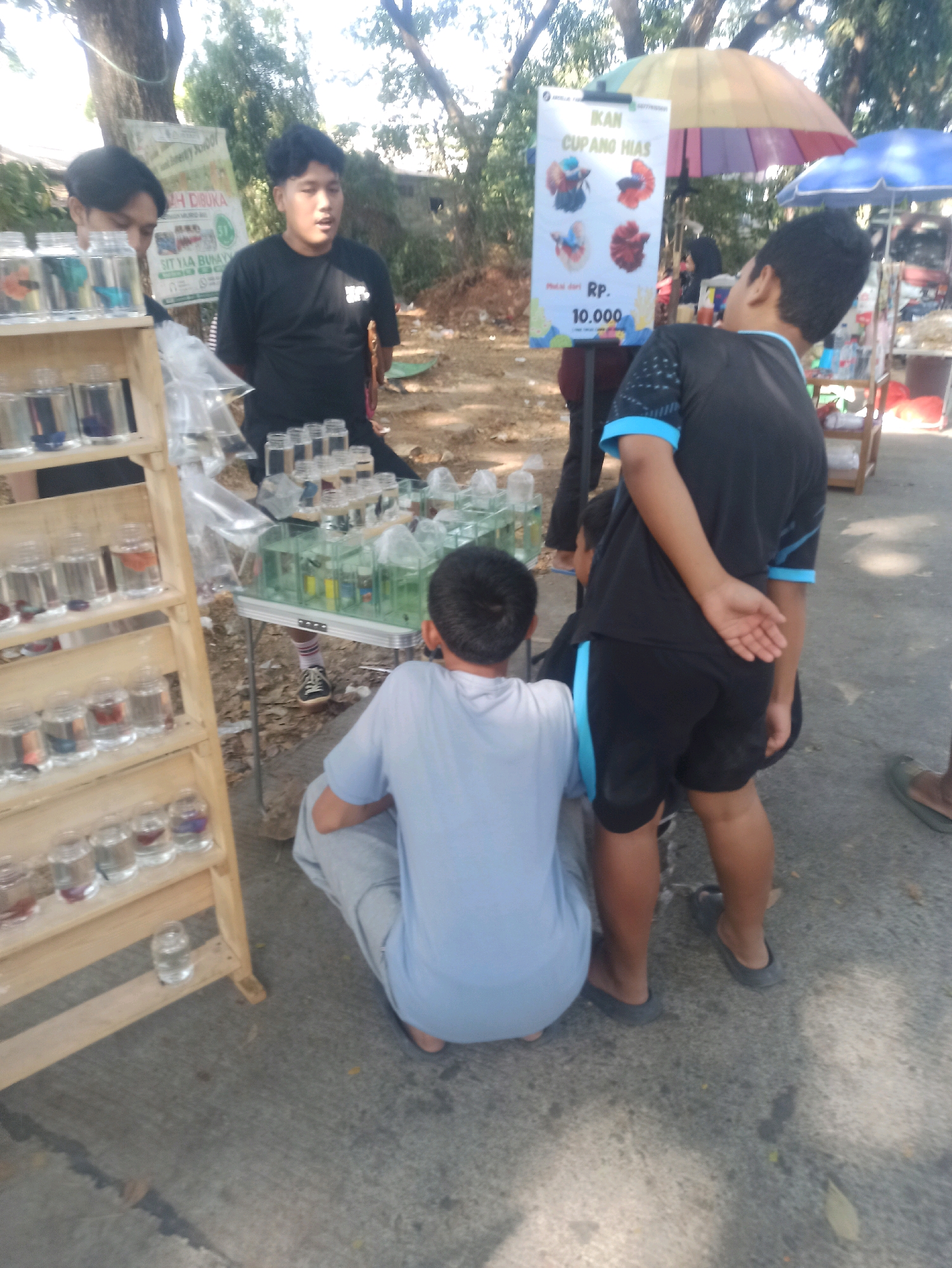 In Telagamurni, Indonesia, an outdoor market stall displays various betta fish in small glass containers. A wooden tiered shelf to the left holds numerous jars of fish, with some still in clear plastic bags. A green table in the center is covered with more fish tanks. A young man wearing a black t-shirt with blue accents is seen from behind, his right hand resting on his hip. To his left, a person in a light blue t-shirt and gray pants squats down. Further left, two young men stand behind the fish display. A sign on an easel in the background advertises "IKAN CUPANG HIAS" (Ornamental Betta Fish) with prices starting at RP 10.000. Colorful umbrellas, one with red, yellow, and purple segments and another blue one, are visible in the background, along with other market stalls and foliage. The ground is paved with asphalt.