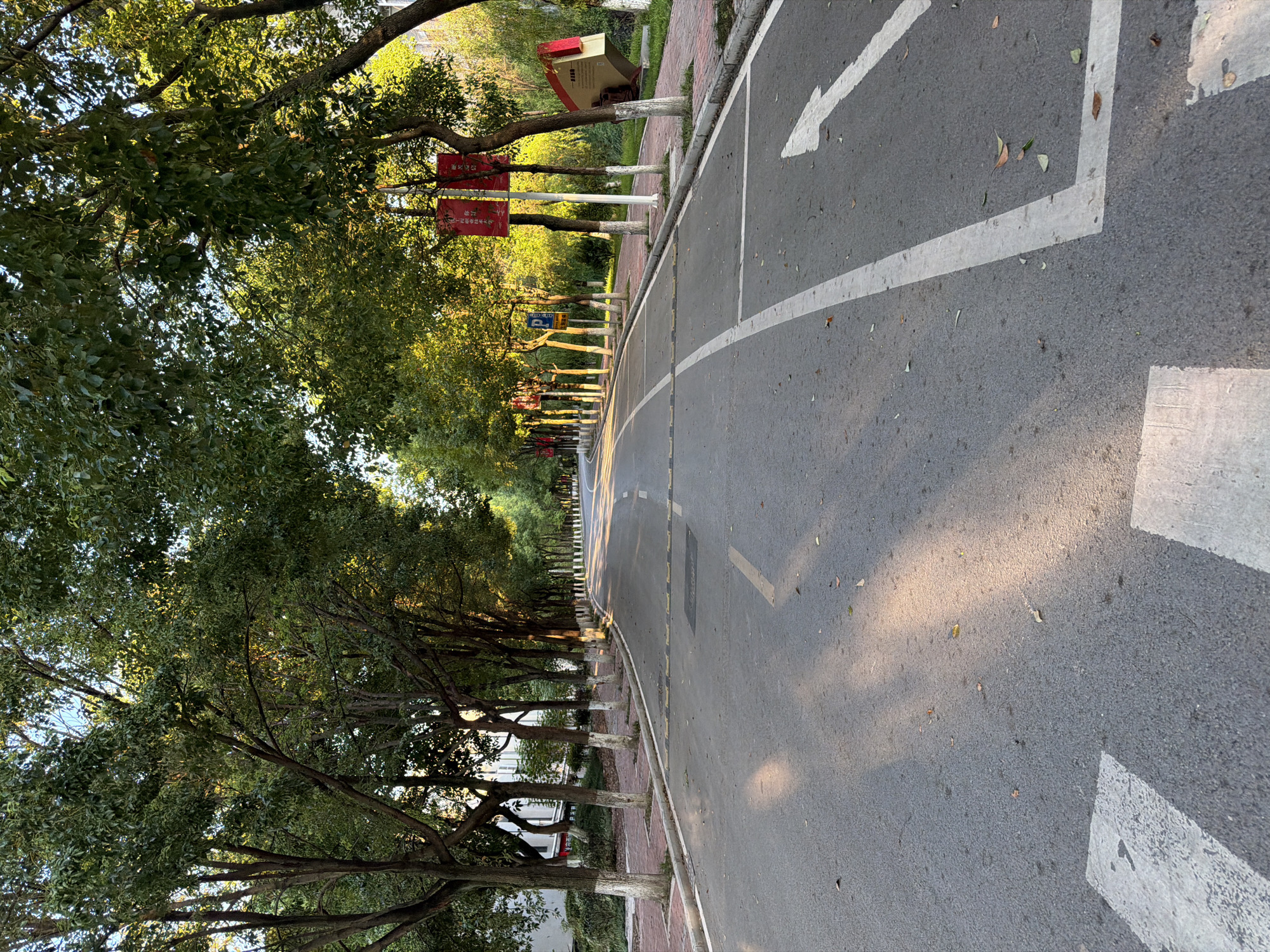 The image shows a tree-lined road in the city of Jiangjin, China. The road is paved with asphalt and has white lane markings and pedestrian crossings. The trees on either side of the road are mature and their leaves are green, suggesting it is either spring or summer. The sunlight filtering through the leaves casts dappled shadows on the road. There are two red banners hanging from poles on the right side of the road, which appear to be decorative or promotional. A blue parking sign is visible on the left side of the road. In the background, there are buildings and more trees. The overall impression is one of a peaceful, well-maintained urban environment.