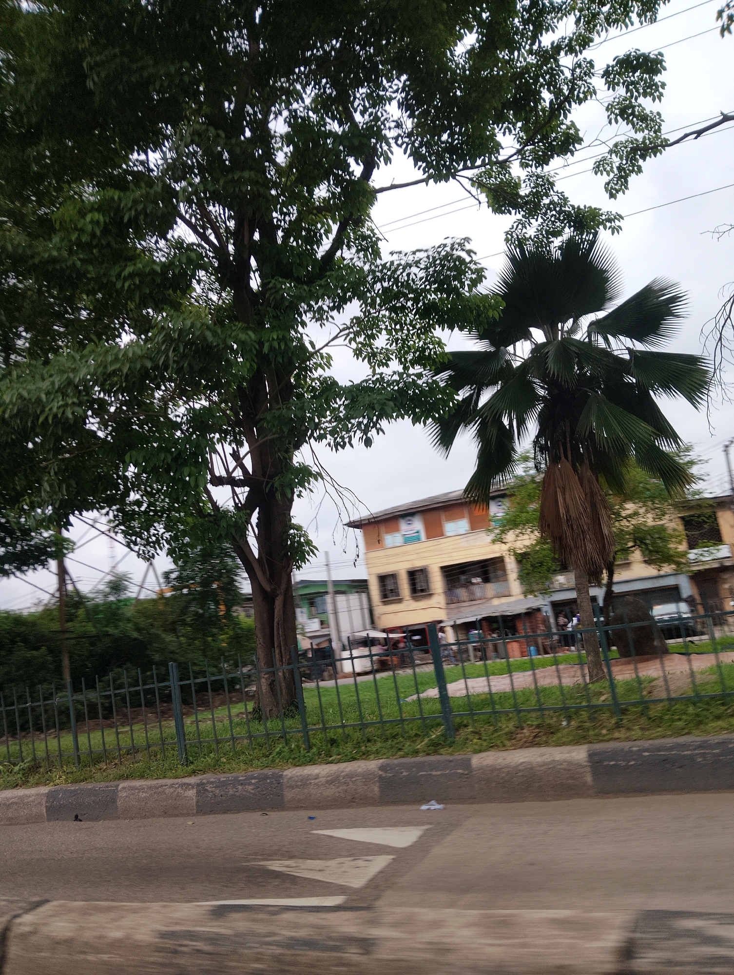 A medium shot captures an overcast day in Ikeja, Nigeria, likely on or near a main thoroughfare. The foreground is dominated by a paved road with a concrete curb marked with alternating gray and black sections. A white pedestrian crossing is faintly visible on the road. Behind the curb, a strip of green grass is bordered by a dark green, wrought-iron fence.
Beyond the fence, a variety of vegetation is present. A tall tree with dense green foliage occupies the left side of the frame, its branches reaching towards the sky. To the right of this tree is a palm tree with characteristic fan-shaped leaves and a dry, hanging frond. In the background, a two-story building with a light yellow facade stands out. It features several windows and balconies, and appears to be a commercial or residential structure. Other buildings and some indistinct figures of people are visible behind the palm tree. The overall impression is a street scene in a tropical urban environment under a cloudy sky.