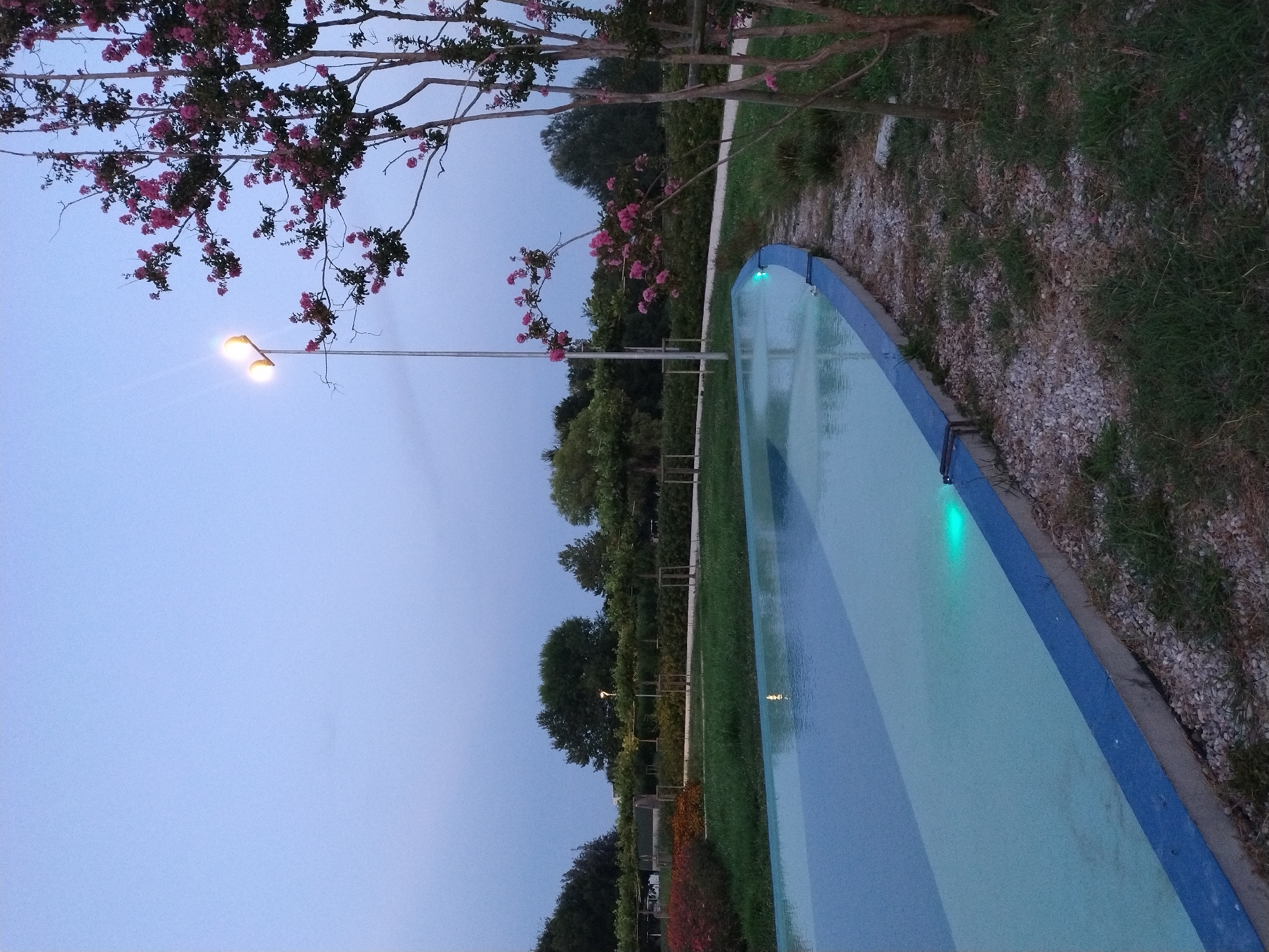 The image depicts a tranquil park scene in Caorle, Italy, during twilight. A shallow, rectangular water feature with blue trim occupies the foreground, its surface reflecting the pale blue sky. The water is illuminated by subtle green lights along one edge. To the right, a blooming tree with pink flowers stands beside a gravel pathway. In the background, rows of neatly trimmed trees and shrubs create a formal garden layout, with a lamppost casting a warm glow over the scene. The overall atmosphere is serene and peaceful, suggestive of a public garden or a quiet urban space.