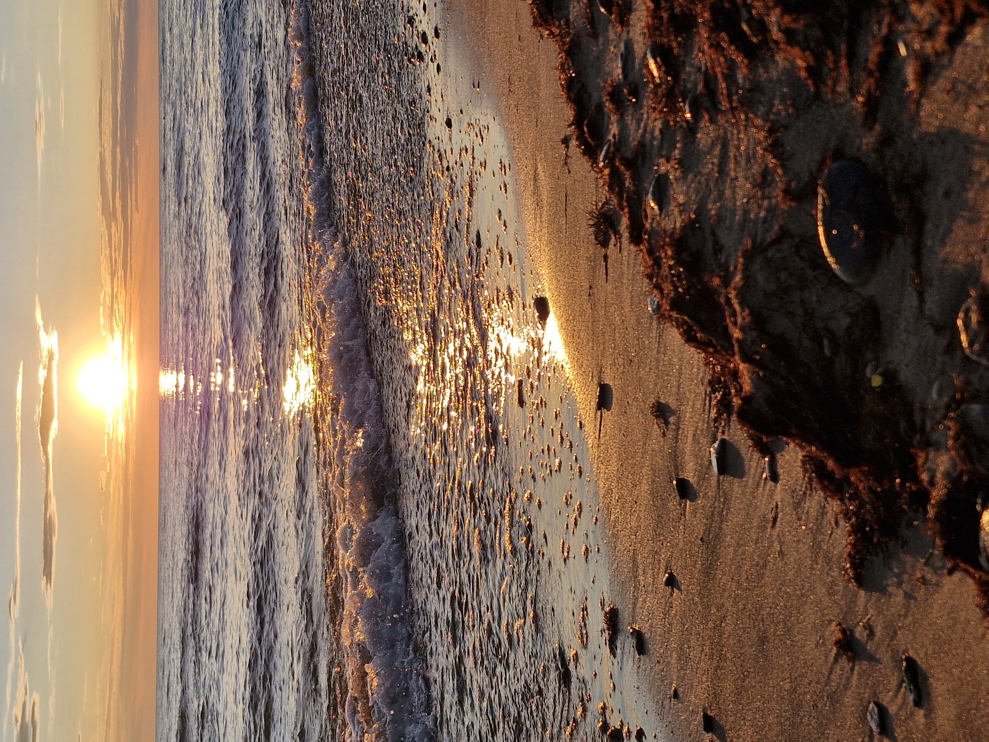 This is a photograph of a sunset over the Baltic Sea, likely taken from the coast of Klaipėda, Lithuania. The sun, a bright, round orb, is low on the horizon, casting a golden glow across the sky and the water. The sky is filled with streaks of orange, pink, and yellow clouds. Gentle waves are breaking on a sandy beach, creating a foamy white line along the shore. The wet sand reflects the colors of the sunset, and small pebbles and bits of seaweed are scattered across its surface. The overall impression is one of tranquility and natural beauty.