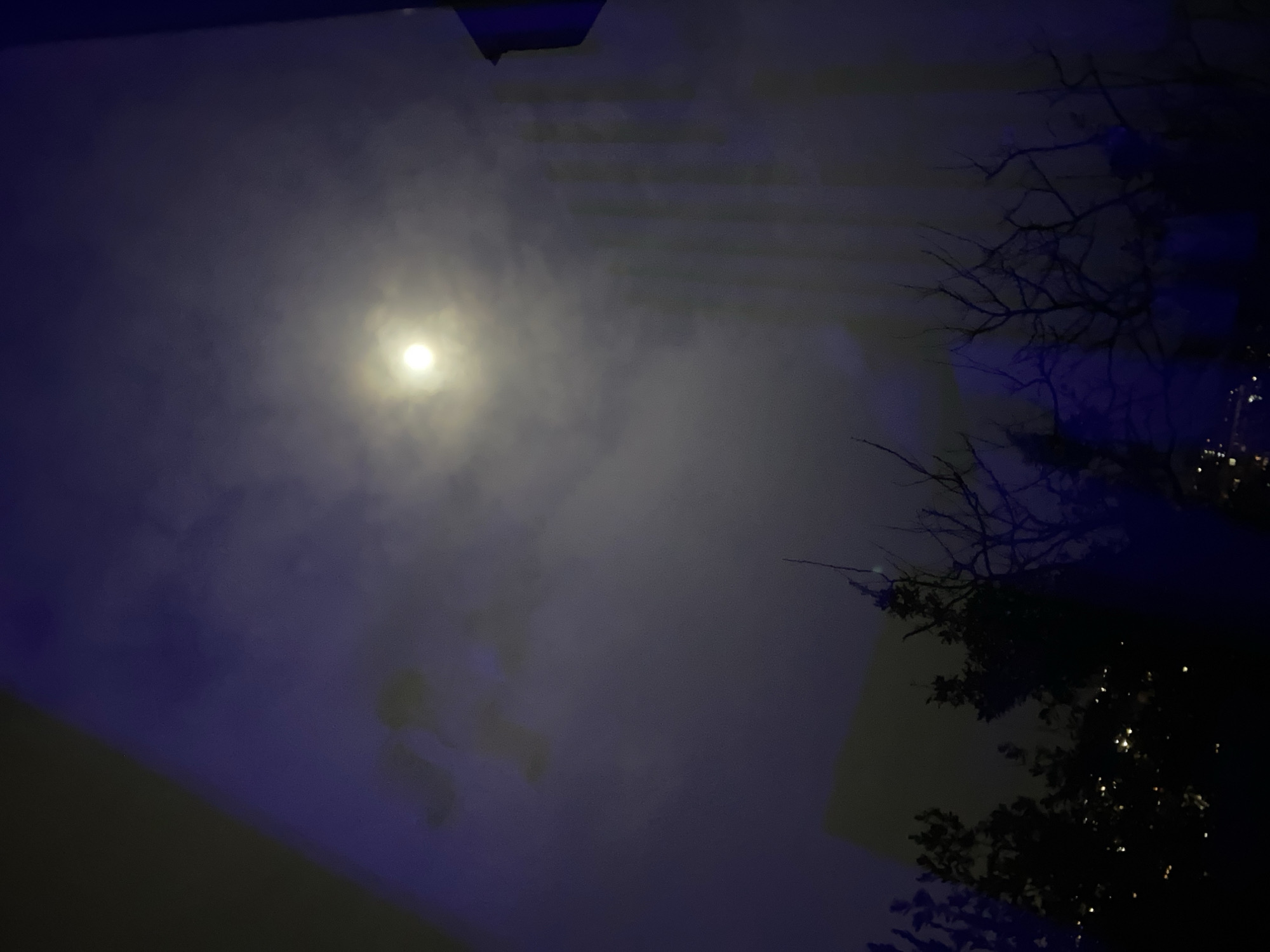 The image shows a nighttime view of the sky, possibly in Sochi, Russia, where a bright moon shines through a layer of clouds. In the lower right corner, branches of a tree are visible, silhouetted against the night sky. The overall scene has a dark, slightly mysterious feel. A building is visible in the foreground and above the moon is a dark shape.