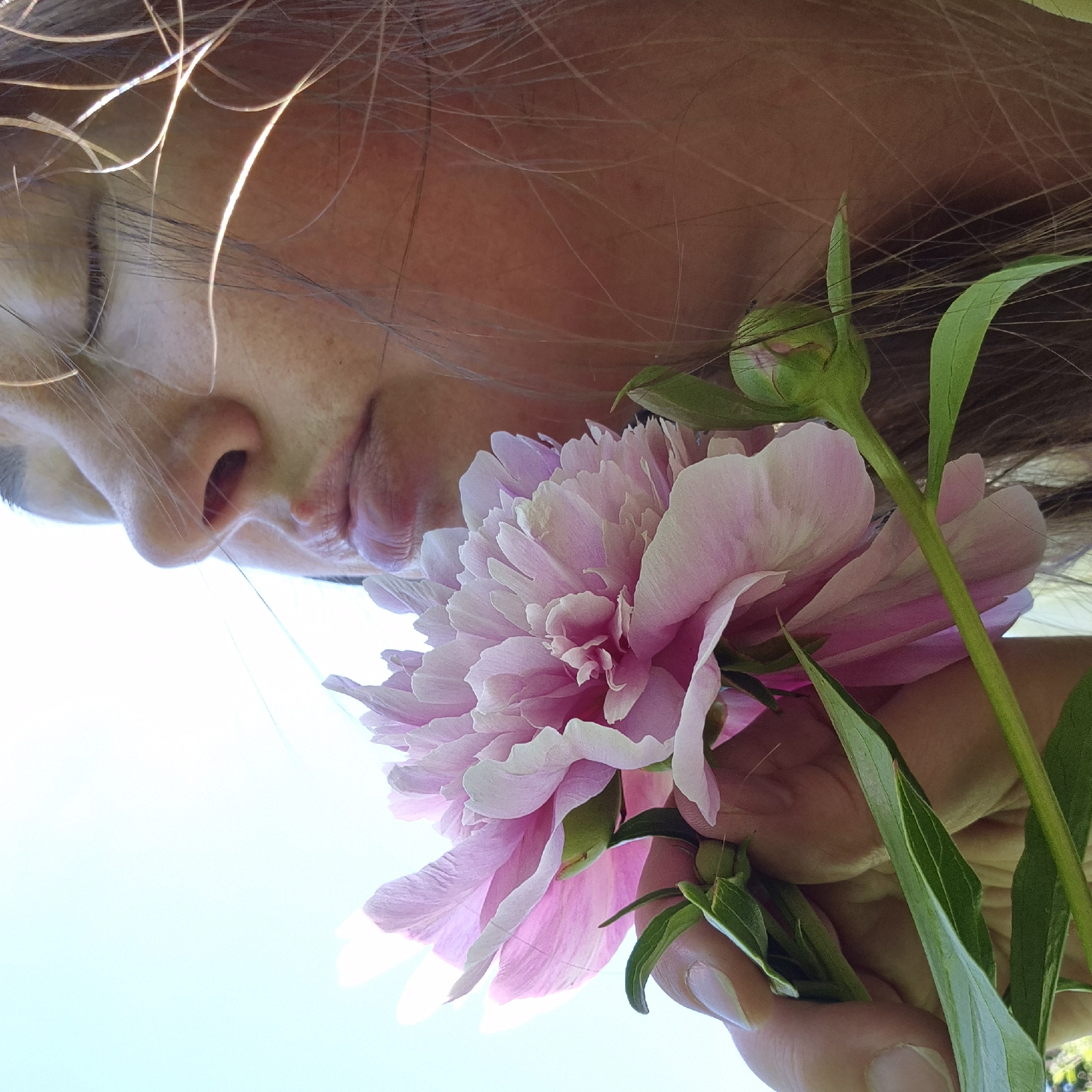 A close-up, low-angle outdoor shot captures a person's face and a large, pink peony flower against a bright blue sky. The person's eyes are closed, and their face is turned slightly towards the flower, suggesting they are smelling it. The focus is on the delicate petals of the peony, some of which are translucent due to the backlight. A hand is visible on the left side of the frame, holding the flower's stem and leaves. Strands of the person's hair are scattered across the image, catching the light. The image does not contain any information about the location in Novo-Solyannoy, Russia.