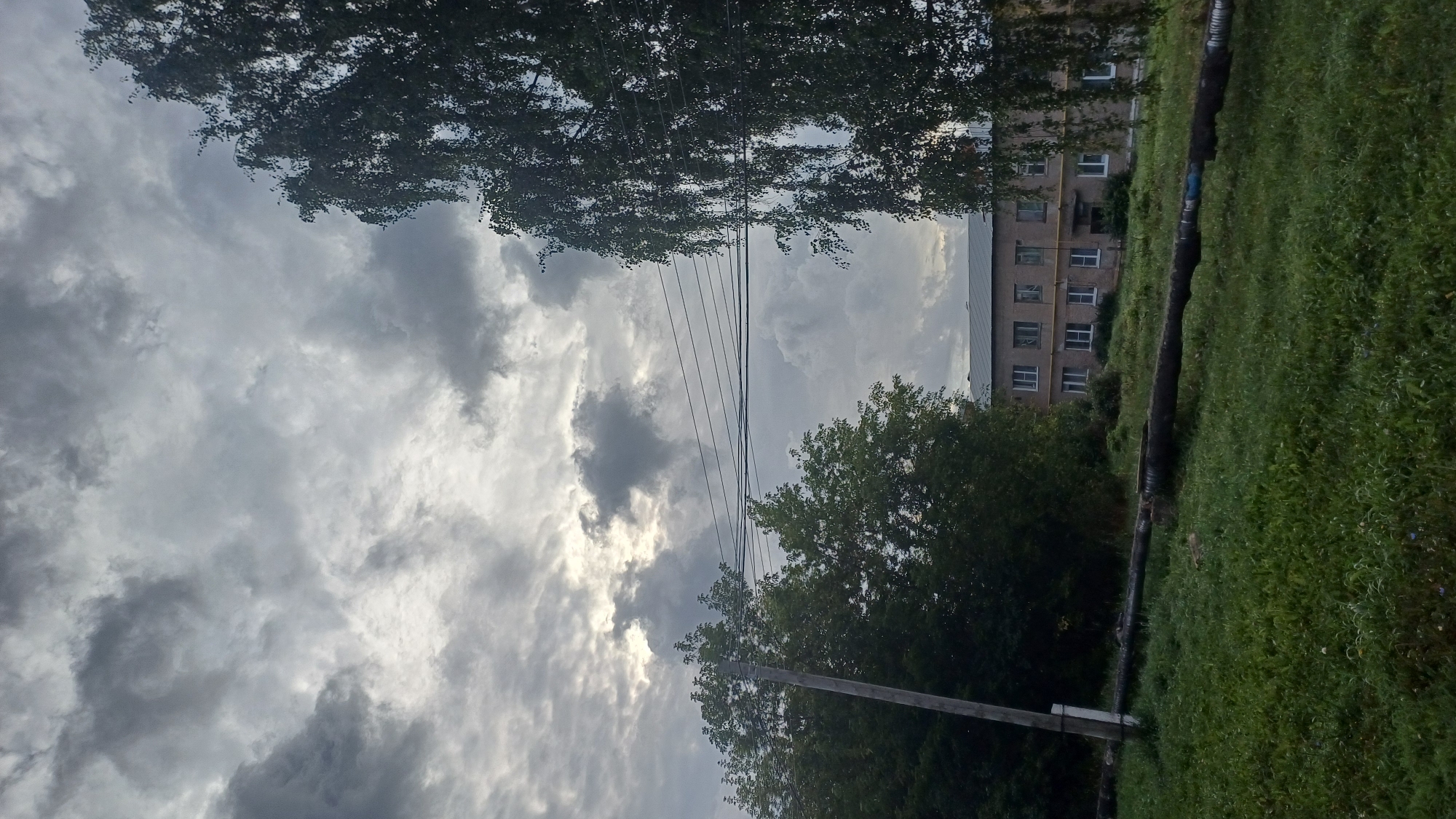 The image depicts an outdoor scene under a cloudy sky. In the foreground, a grassy area is visible with a large, dark pipe running horizontally across it. To the left, a wooden utility pole stands tall amidst green foliage. In the mid-ground, a multi-story building with a gray roof and numerous windows is situated, partially obscured by trees. To the right, the branches of a large tree with dark green leaves hang into the frame. Overhead, a network of power lines stretches across the sky. The overall impression is one of an overcast day in a semi-urban or rural setting.